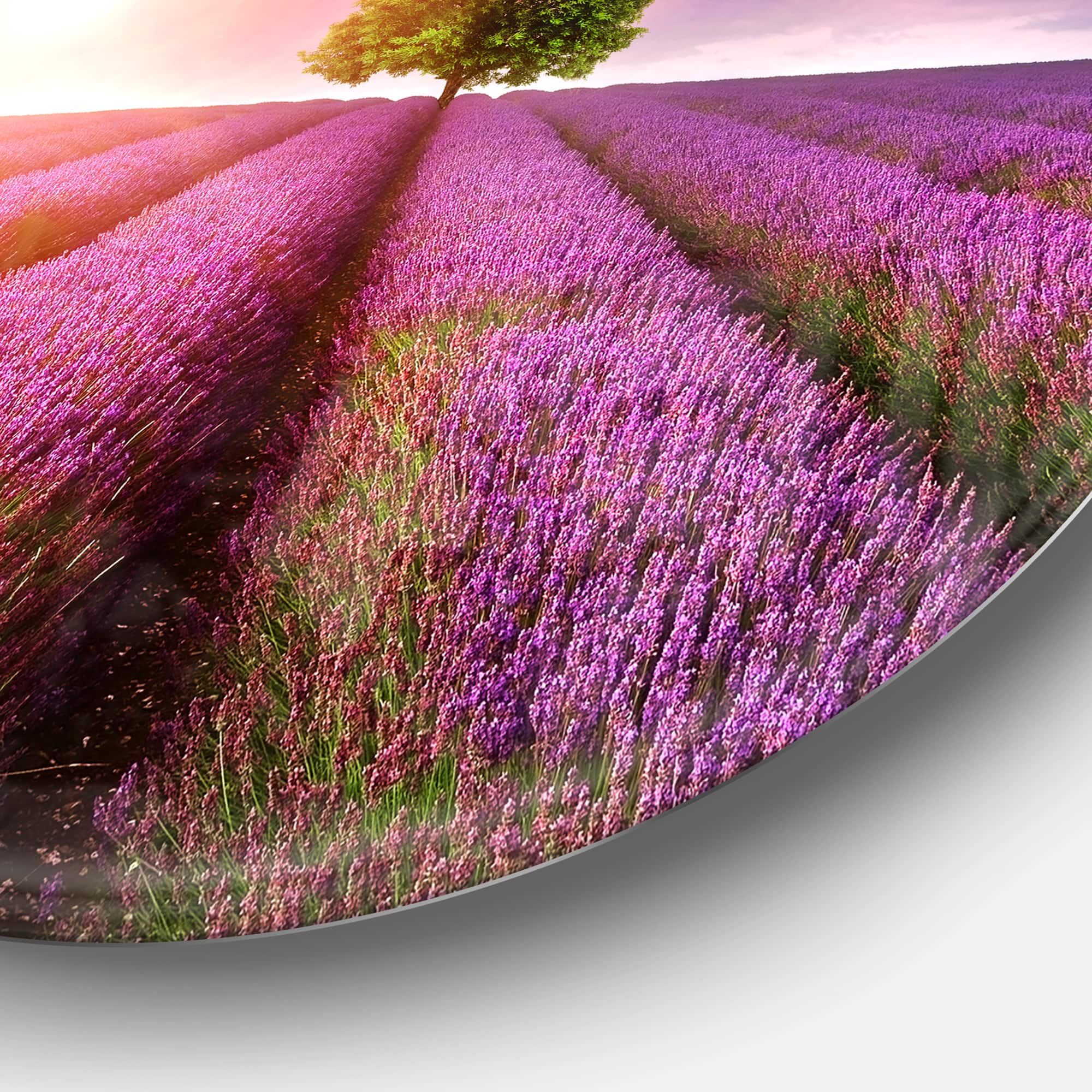 Designart - Purple Sky over Stunning Lavender Field' Floral Metal Circle Wall Art