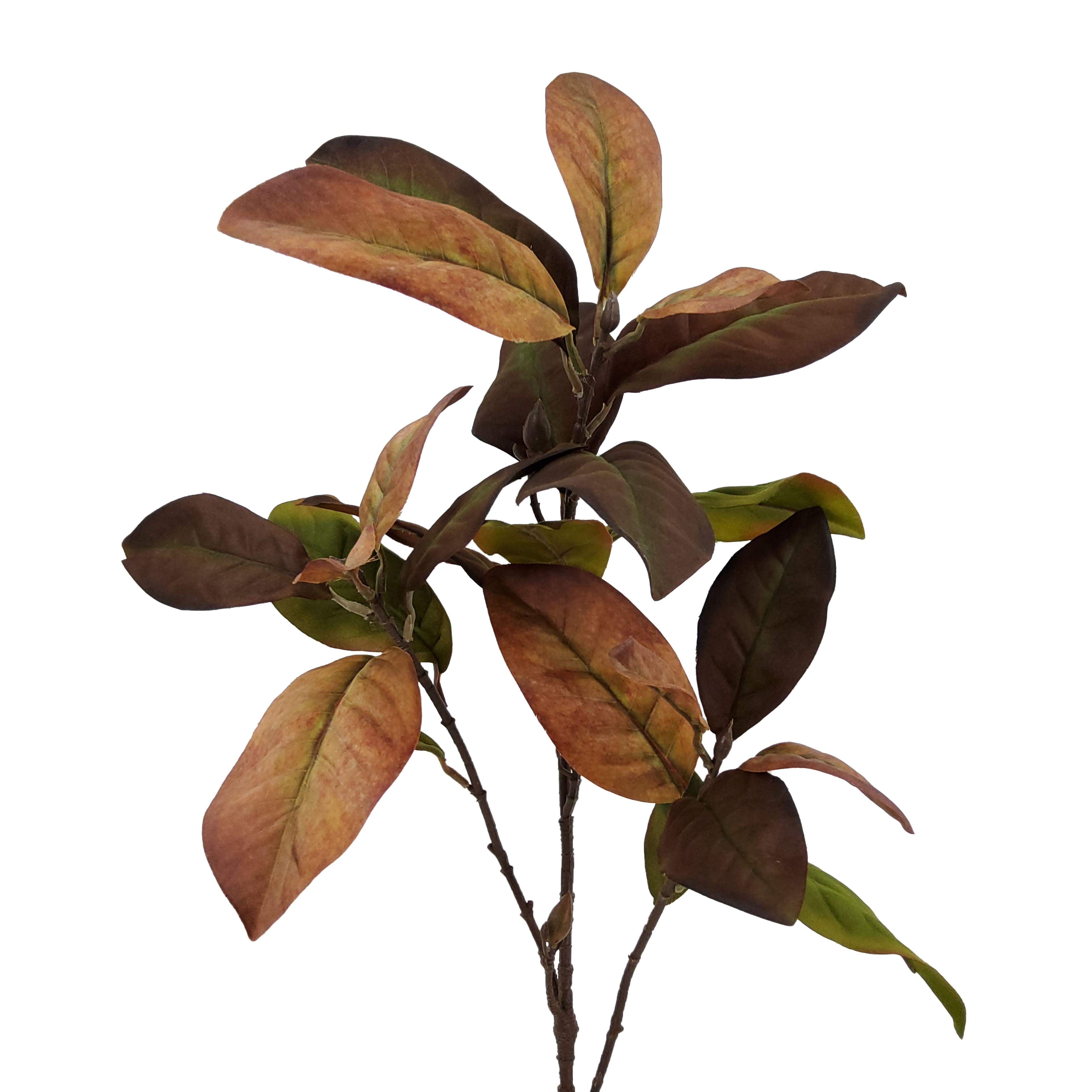 37.5" Brown & Green Magnolia Leaf Stem by Ashland®