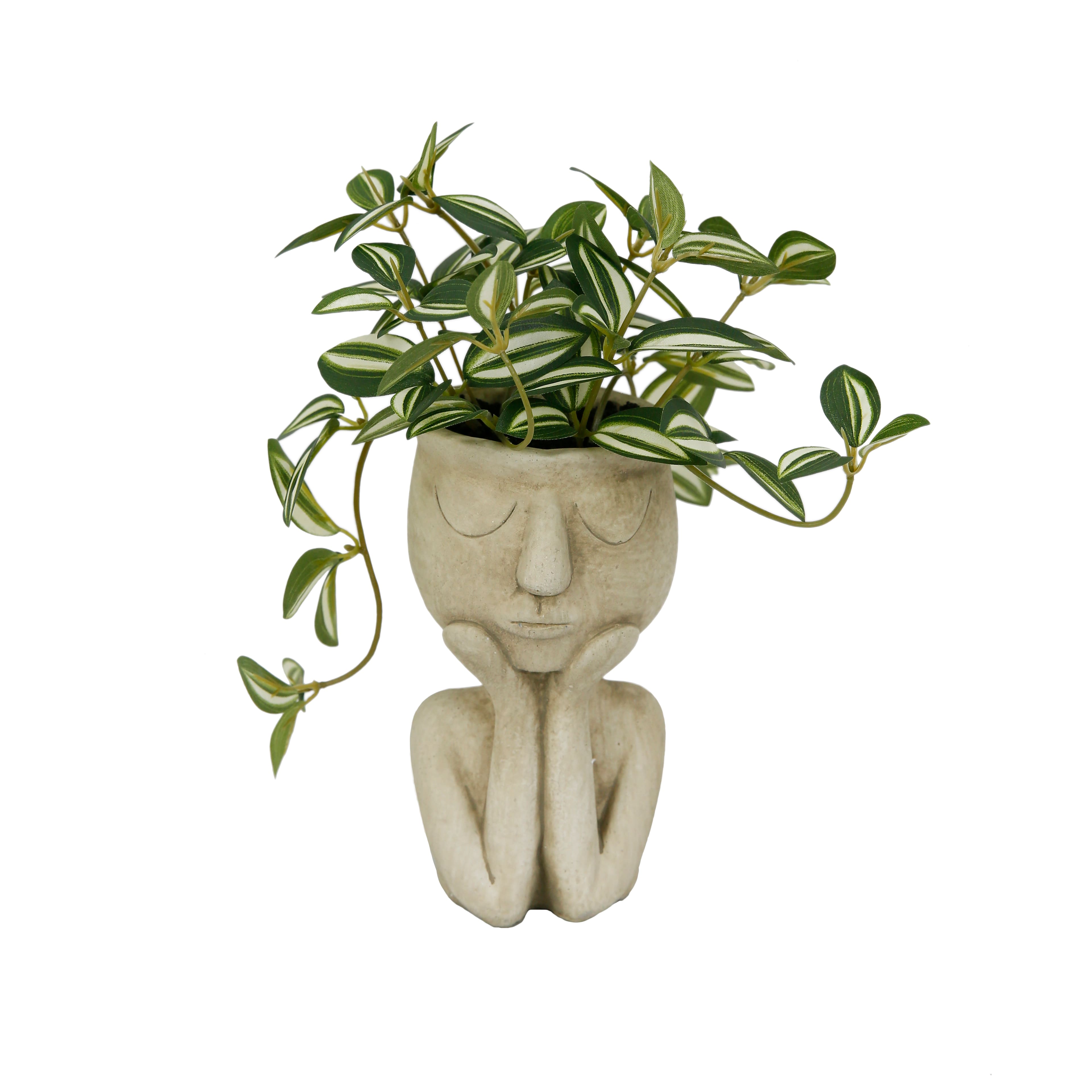 9" Inchplant in Statue pot by Ashland®