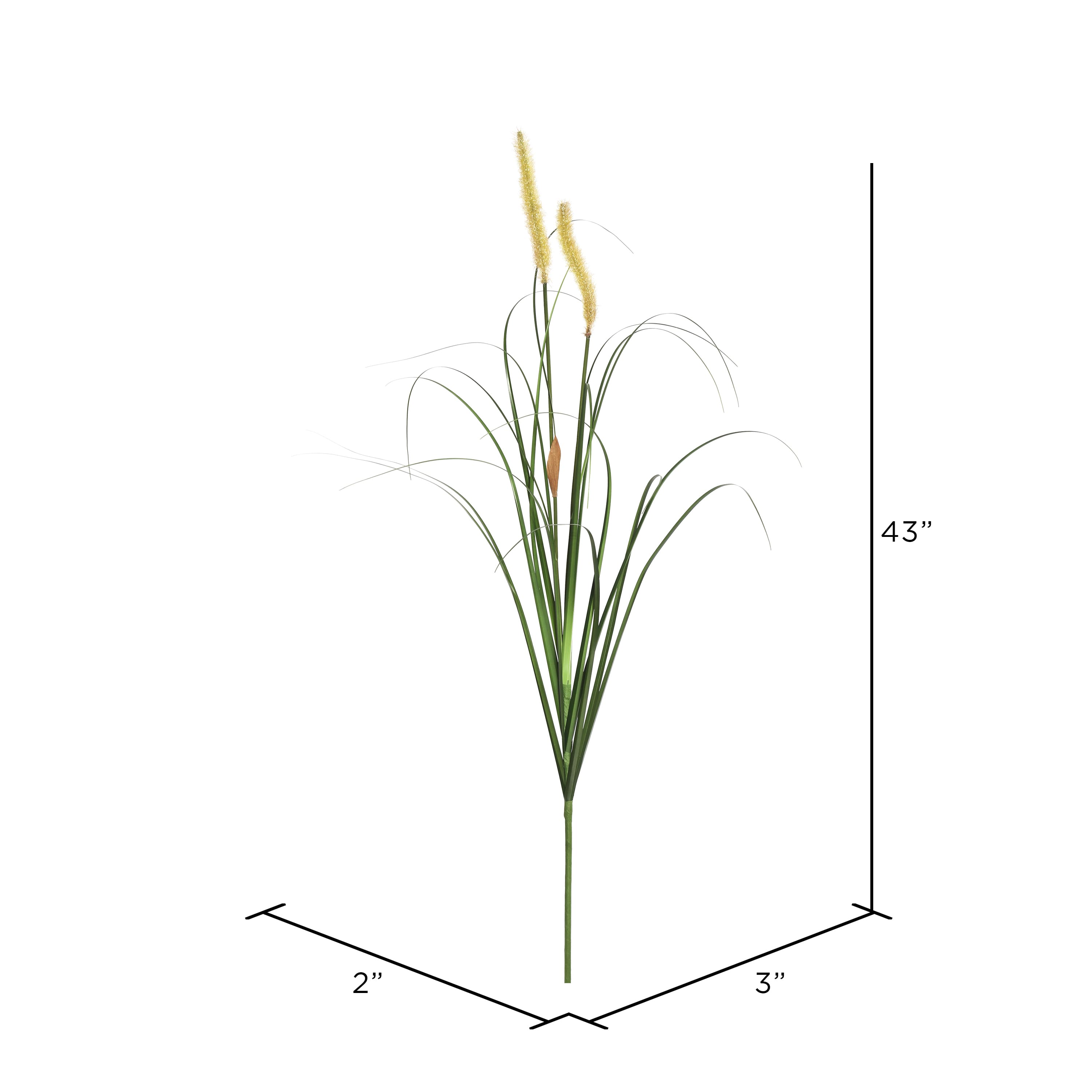 4 Pack: Mixed Green Foxtail Grass Spray