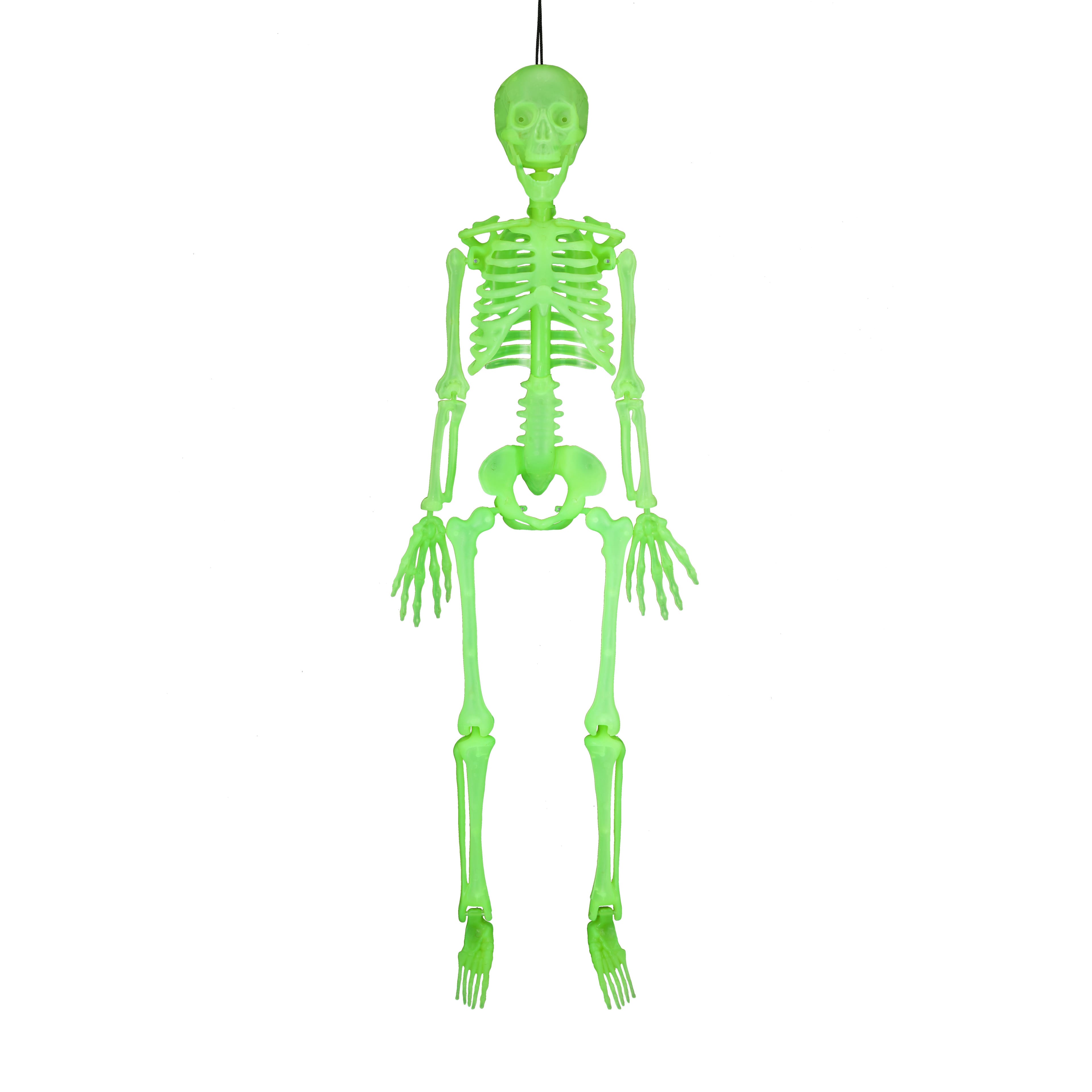 35.8" Glow-in-the-Dark Skeleton by Ashland®