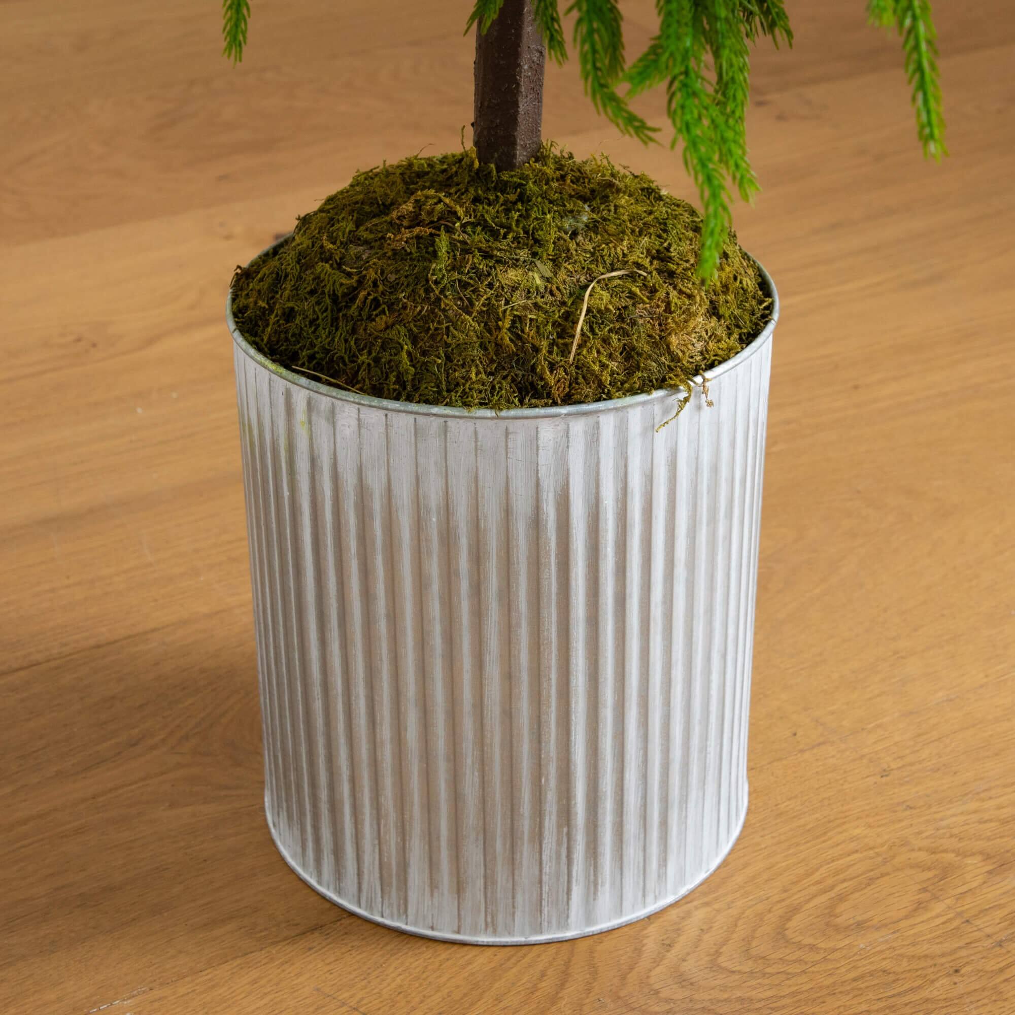 5ft. Unlit Real Touch Norfolk Island Pine Artificial Christmas Tree in Metal Planter
