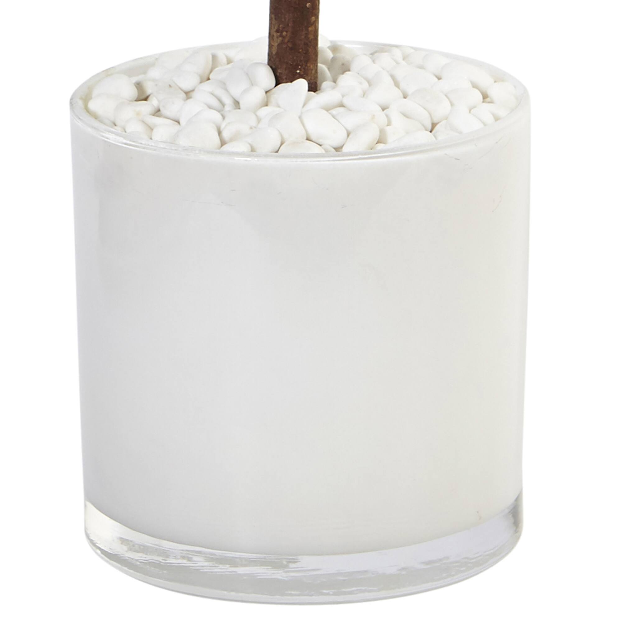 2ft. Bay Laurel Tree in White Glossy Cylinder Planter
