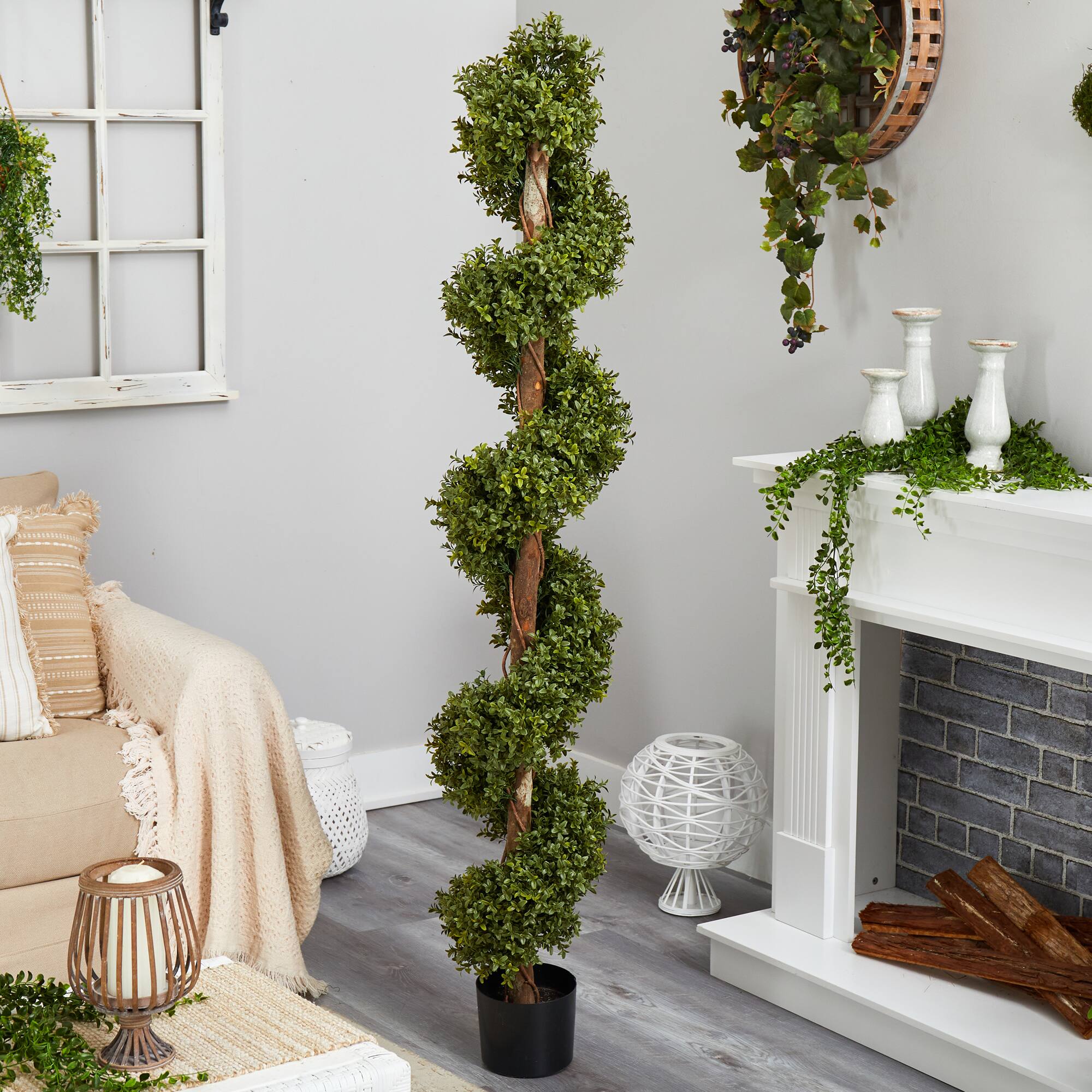 6ft. Potted Spiral Boxwood Topiary Tree