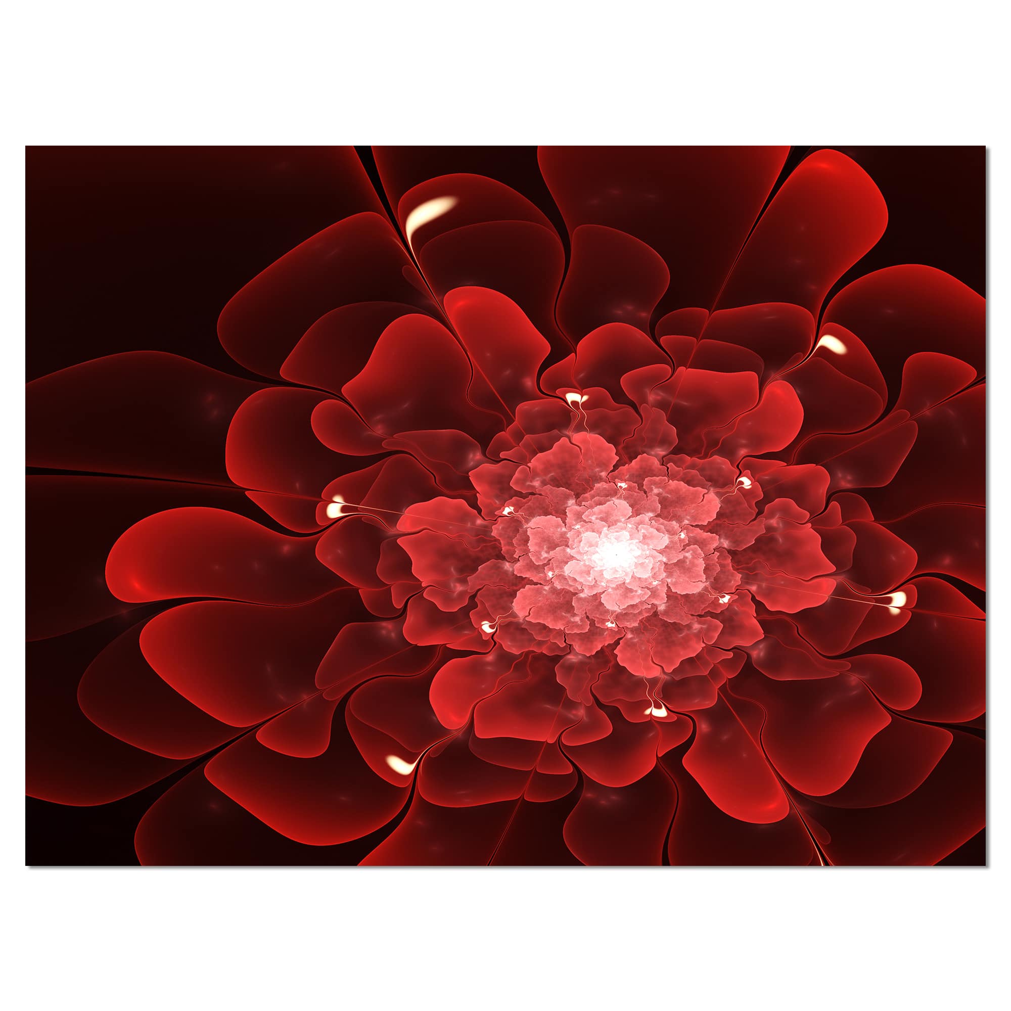 Designart - Fractal Flower Clear Red Digital Art