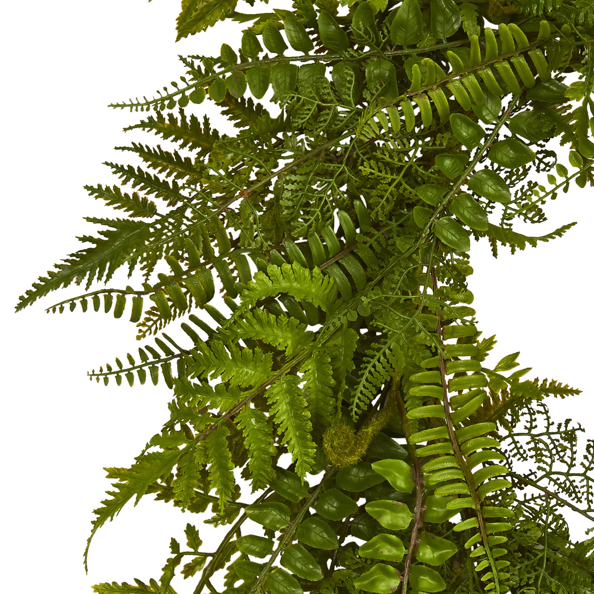 24” Mixed Fern Wreath