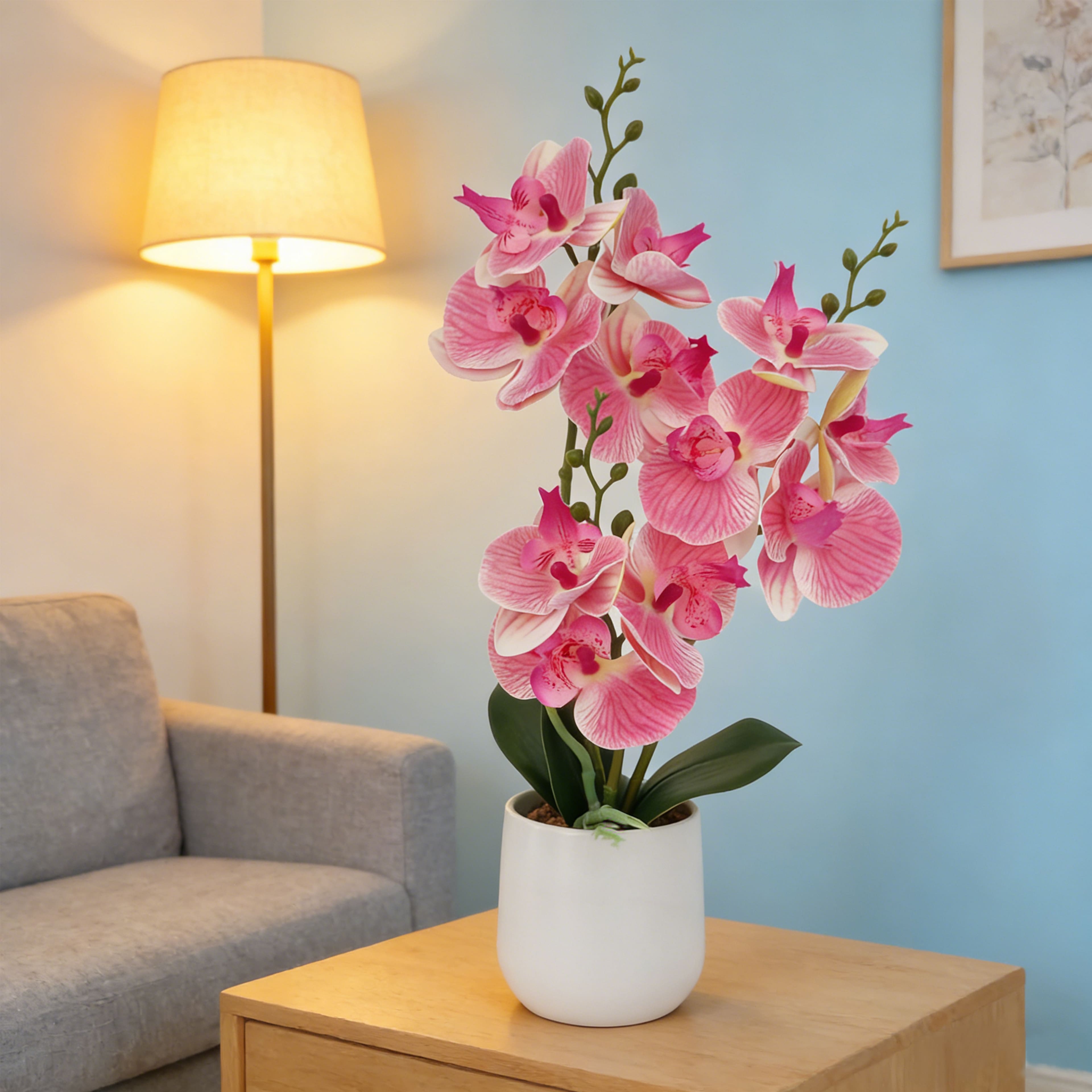 16" Dark Pink & White Orchid in Ceramic Pot by Ashland®