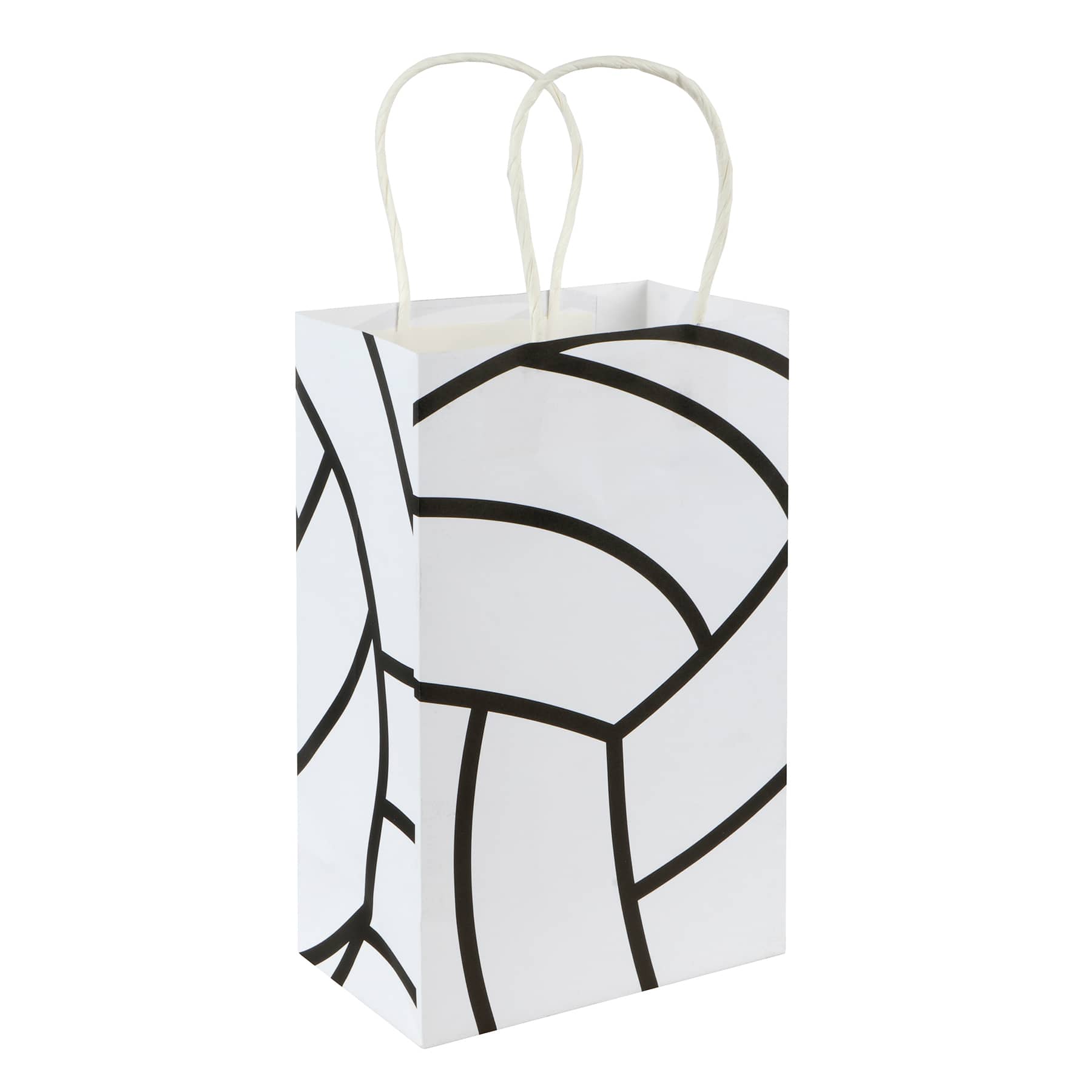 Small Volleyball Gift Bags, 5ct. by Celebrate It™