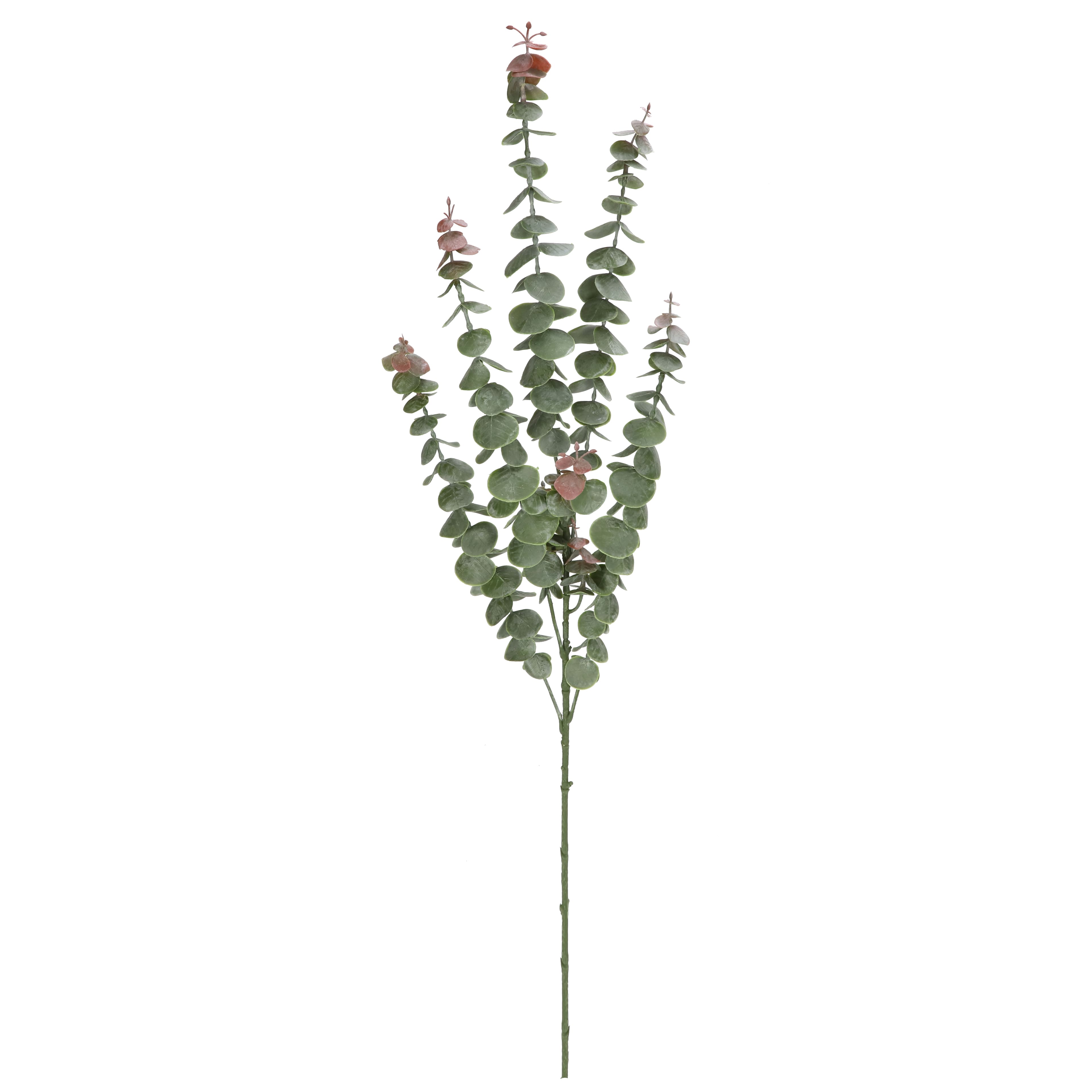 35" Eucalyptus Real Touch Stem by Ashland