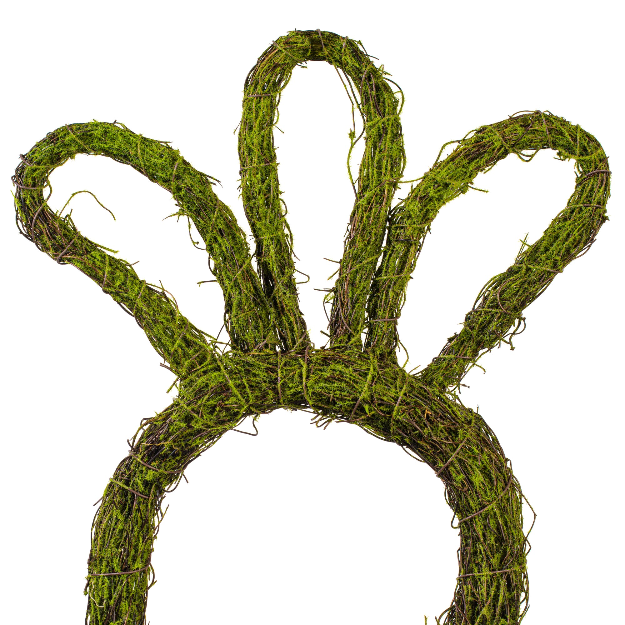 Vickerman 23" x 12" Carrot Outline Wreath