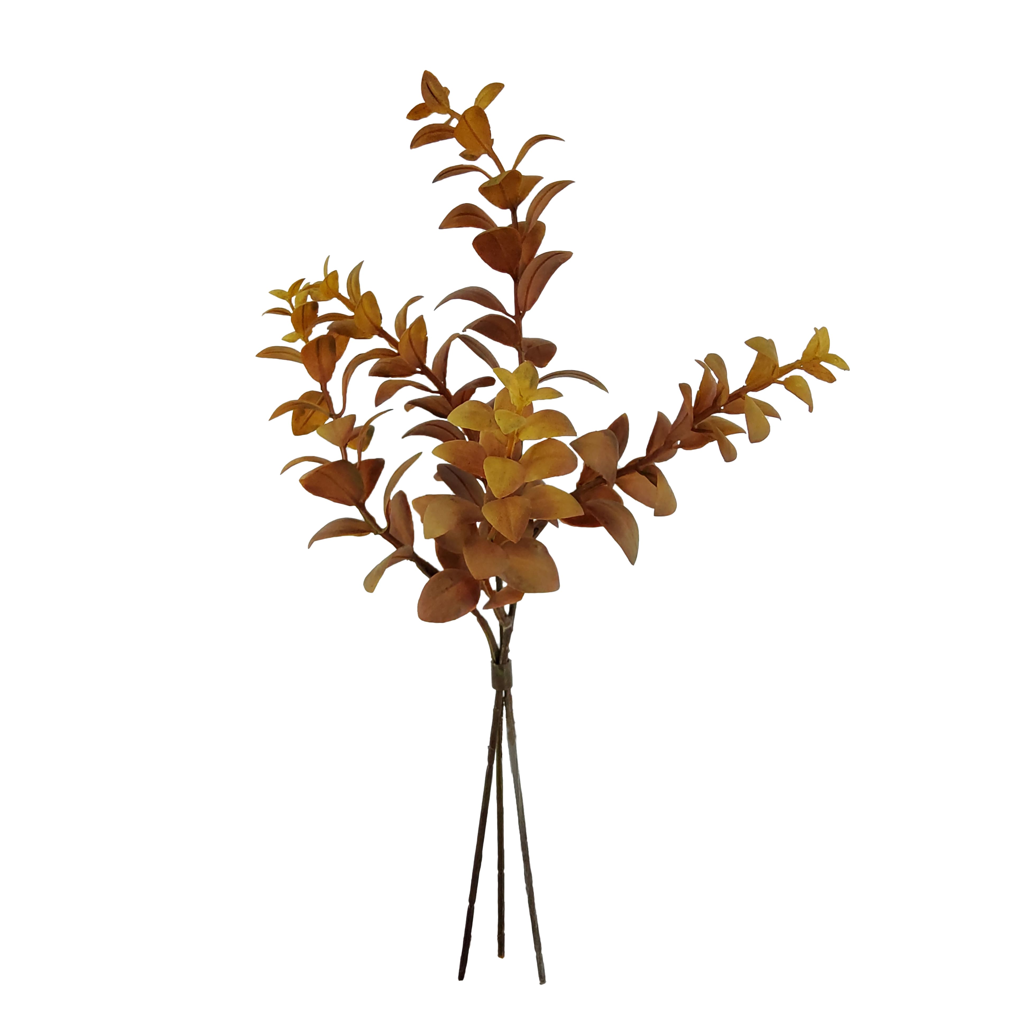 12" Brown Eucalyptus Bundle by Ashland®