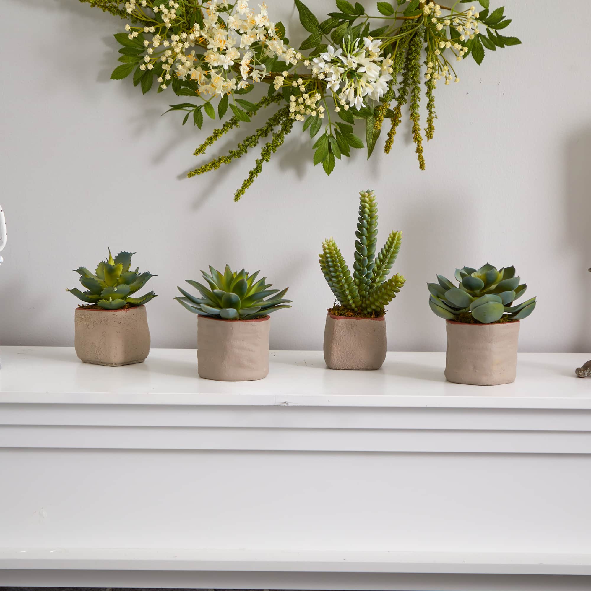 6" Potted Mixed Succulent Plants, 4ct.