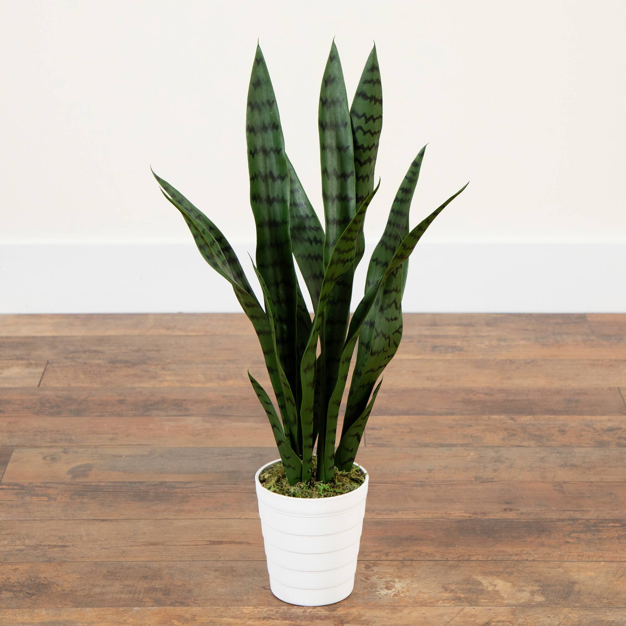 2ft. UV Resistant Artificial Snake Plant in White Decorative Planter