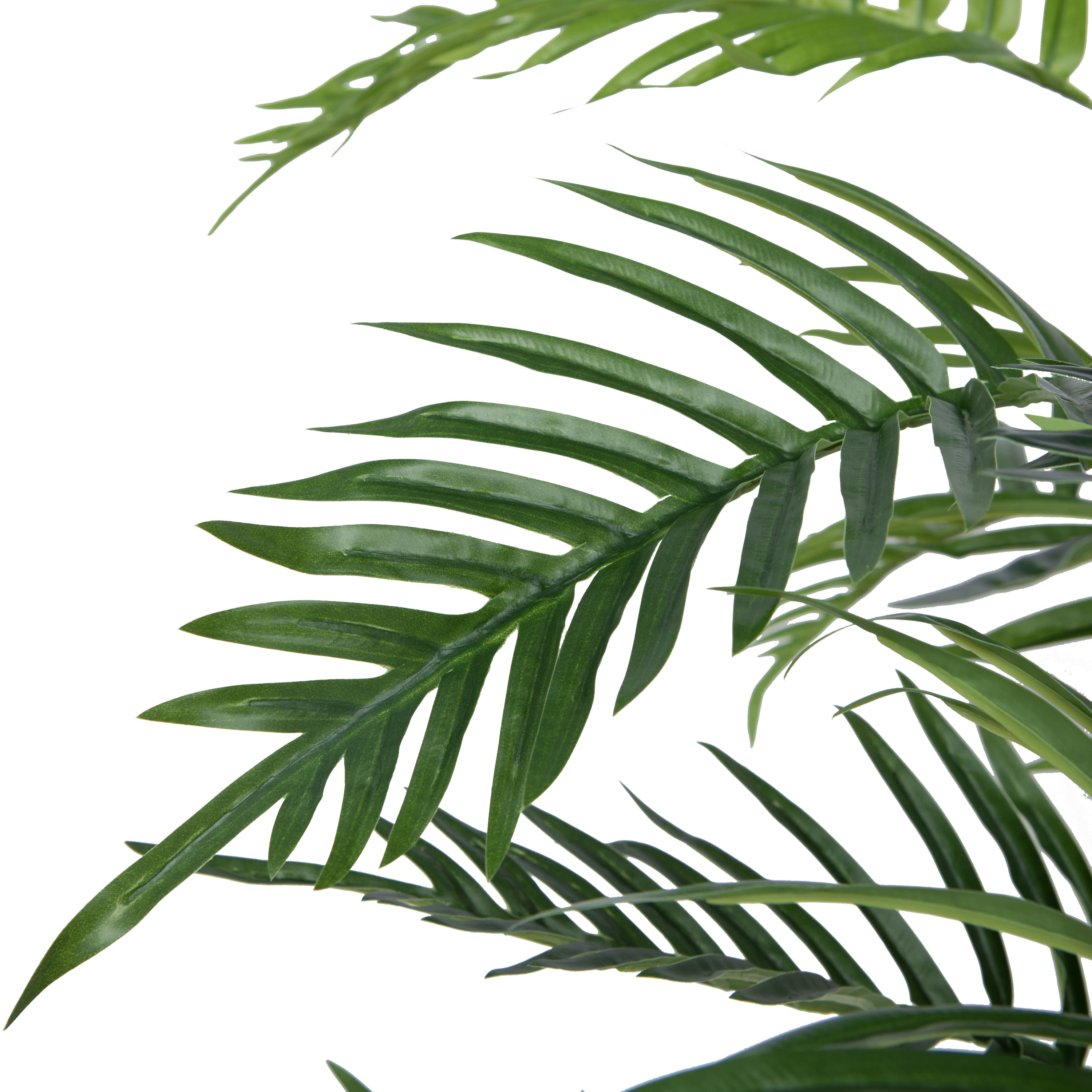 6ft. Potted Fern Palm with Real Touch Leaves