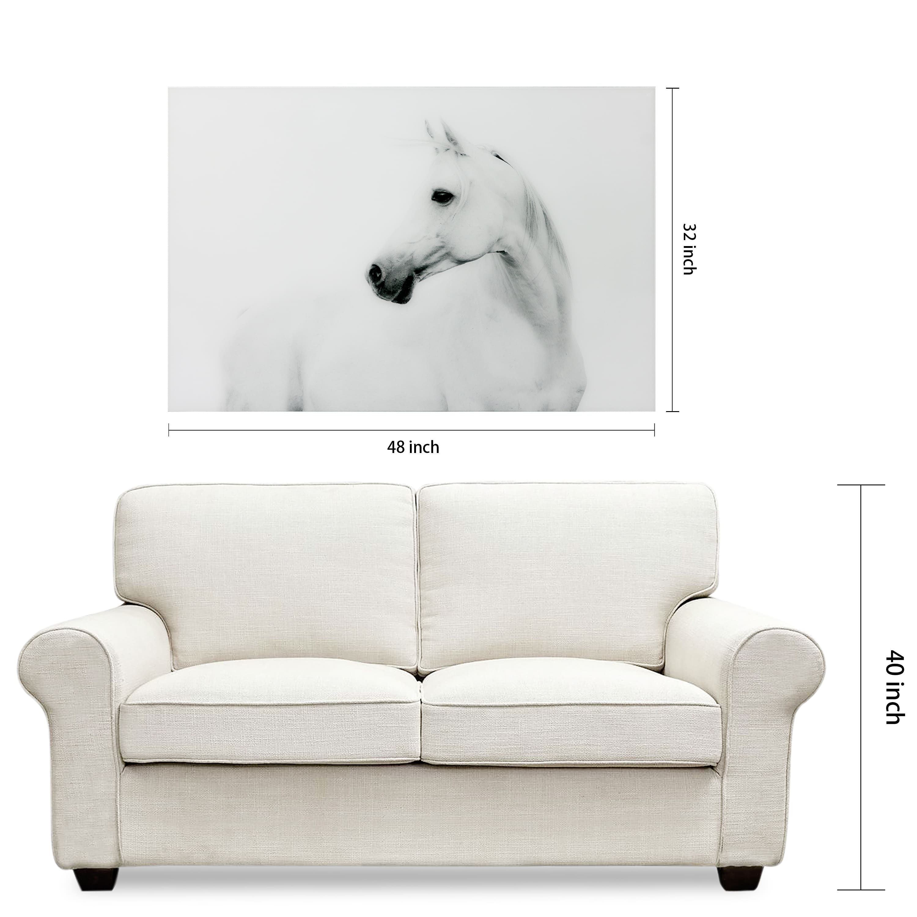 Empire Art Direct 48" x 32" Blanco Stallion Horse Frameless Printed Tempered Glass Wall Art