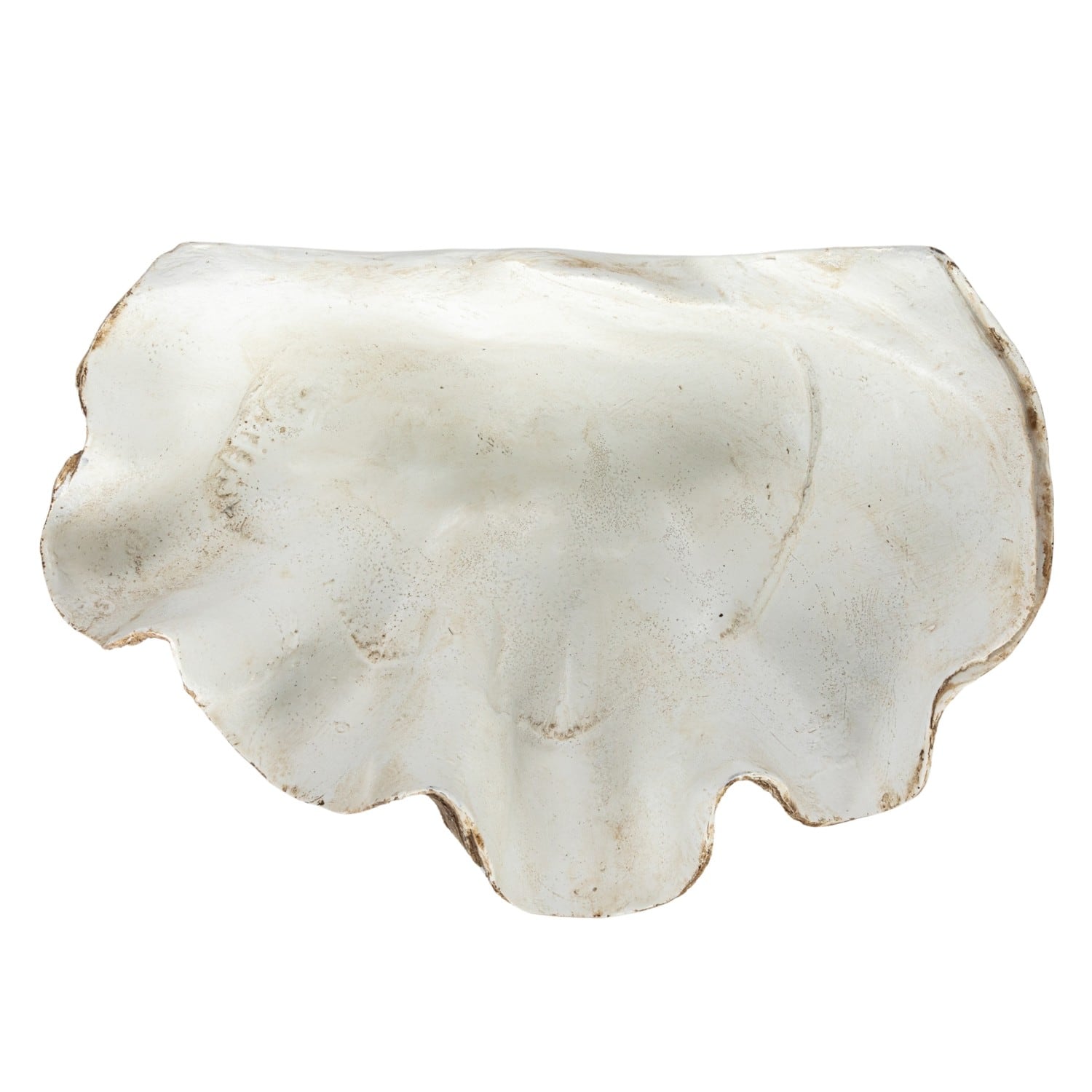 Hello Honey® 14.25" Decorative Clam Wall Bowl