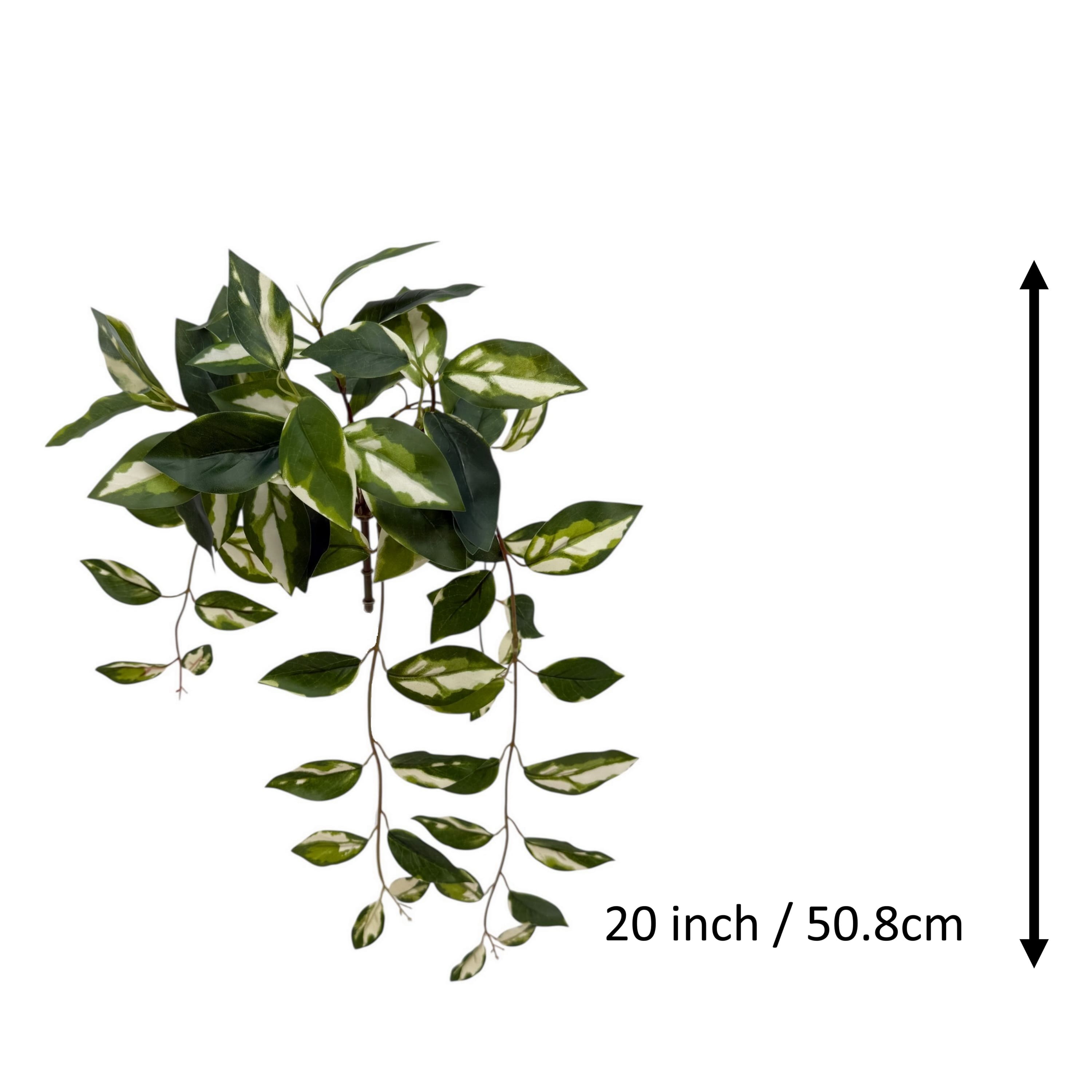 23.5" Hanging Hoya Bush by Ashland®