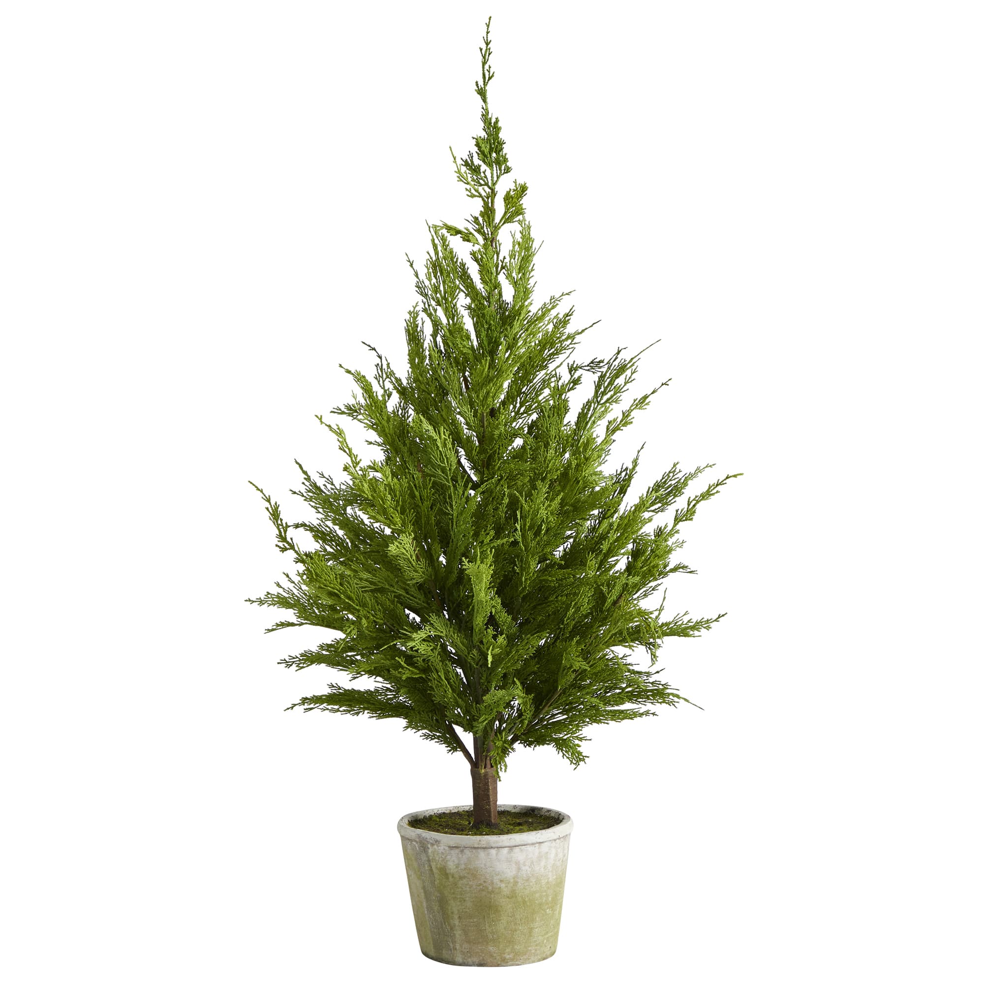 3.5ft. Unlit Cedar Pine Natural Look Artificial Christmas Tree