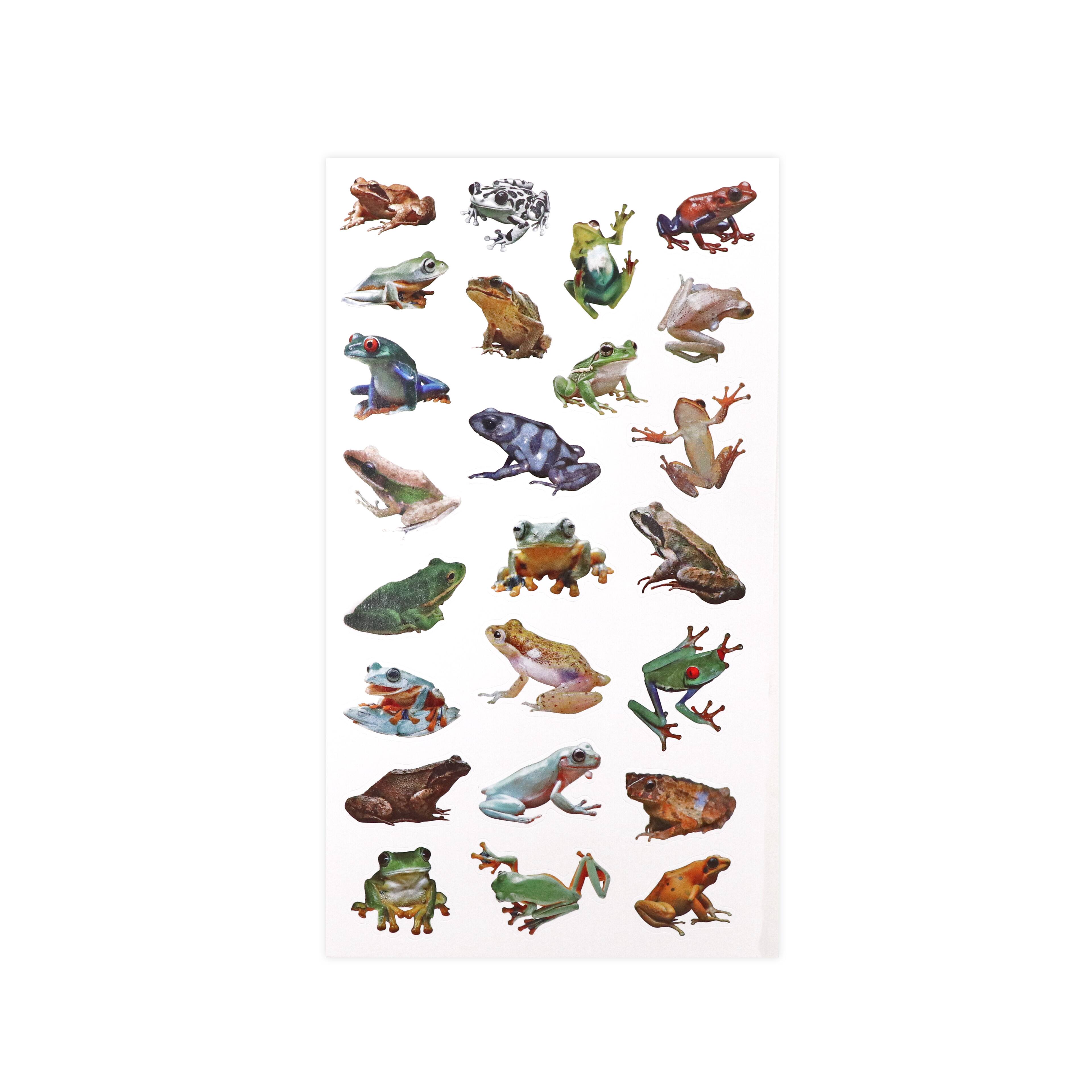 Frog Stickers by Recollections™
