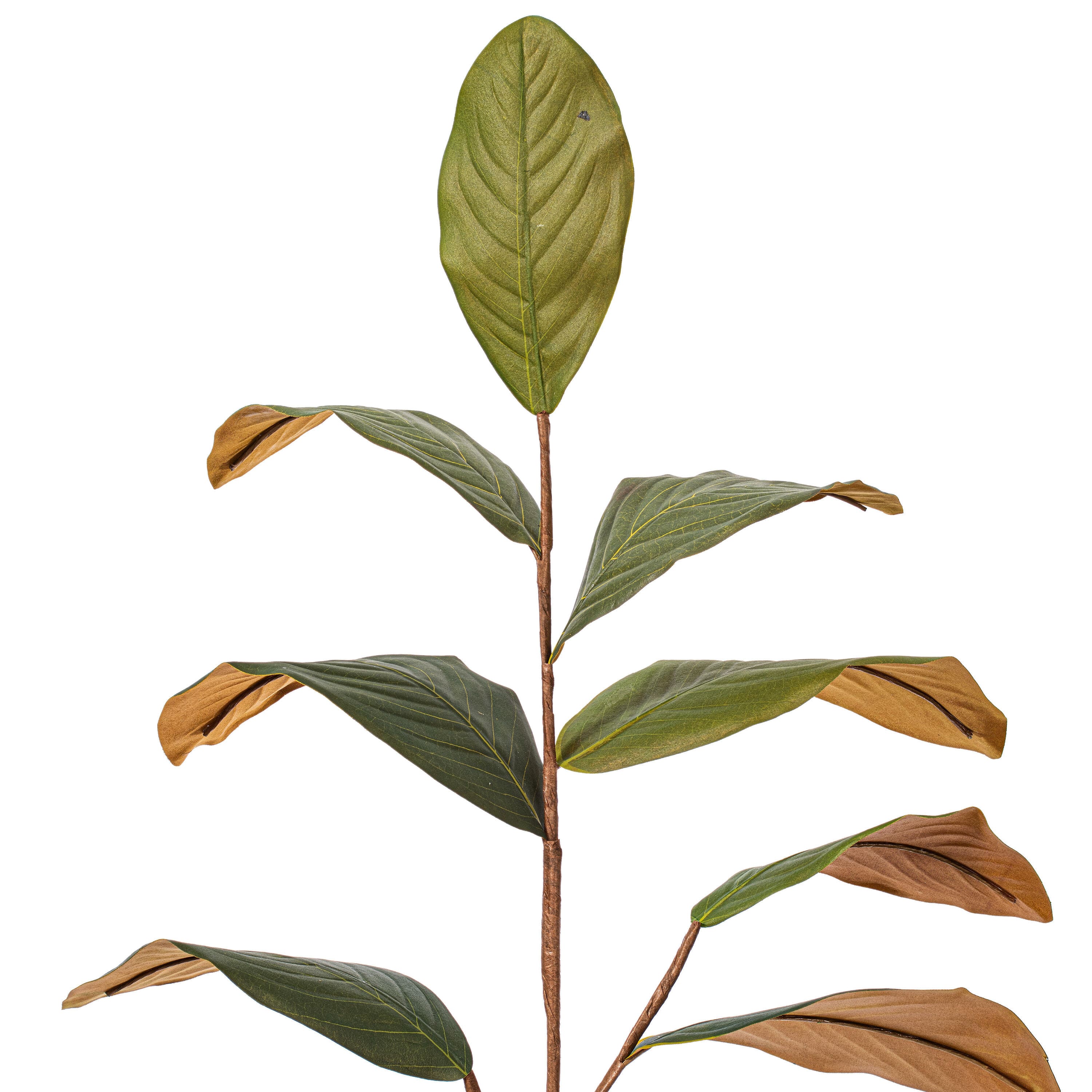 Artificial Green Magnolia Spray, 3ct.