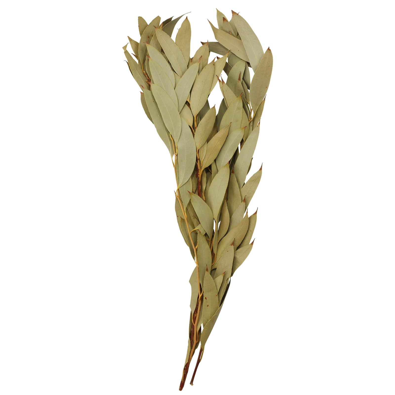 21" Amber Fruit Foliage Bundle by Ashland®