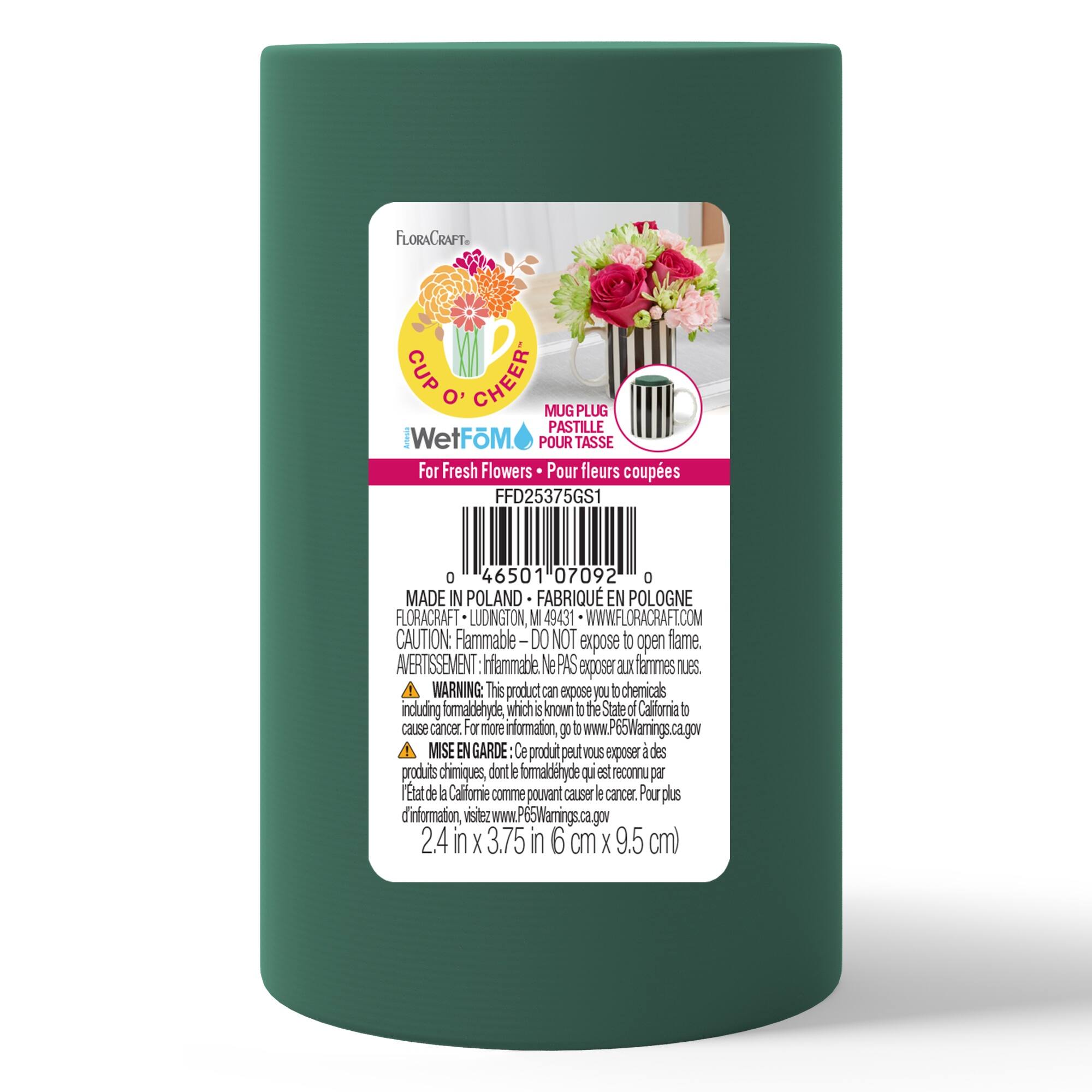 FloraCraft® WetFōM Green Cup o' Cheer Artesia Mug Plug
