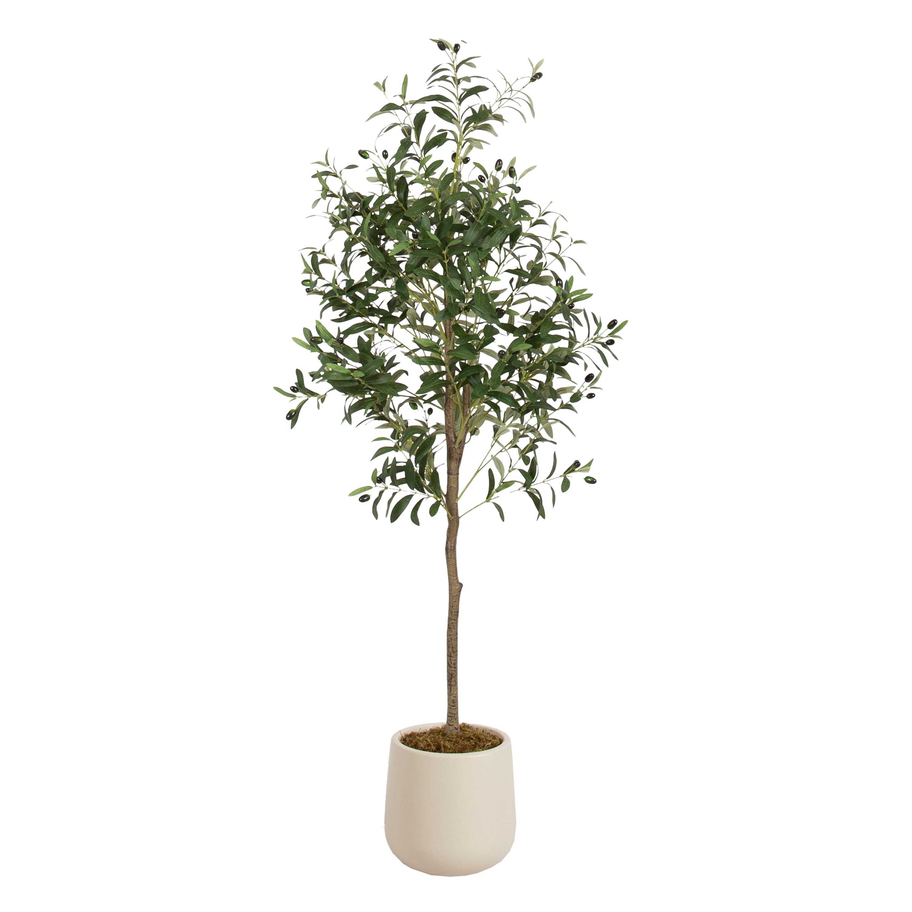 Kate and Laurel 5ft. Oliveira Faux Olive Tree with Jia Curved Cream Planter