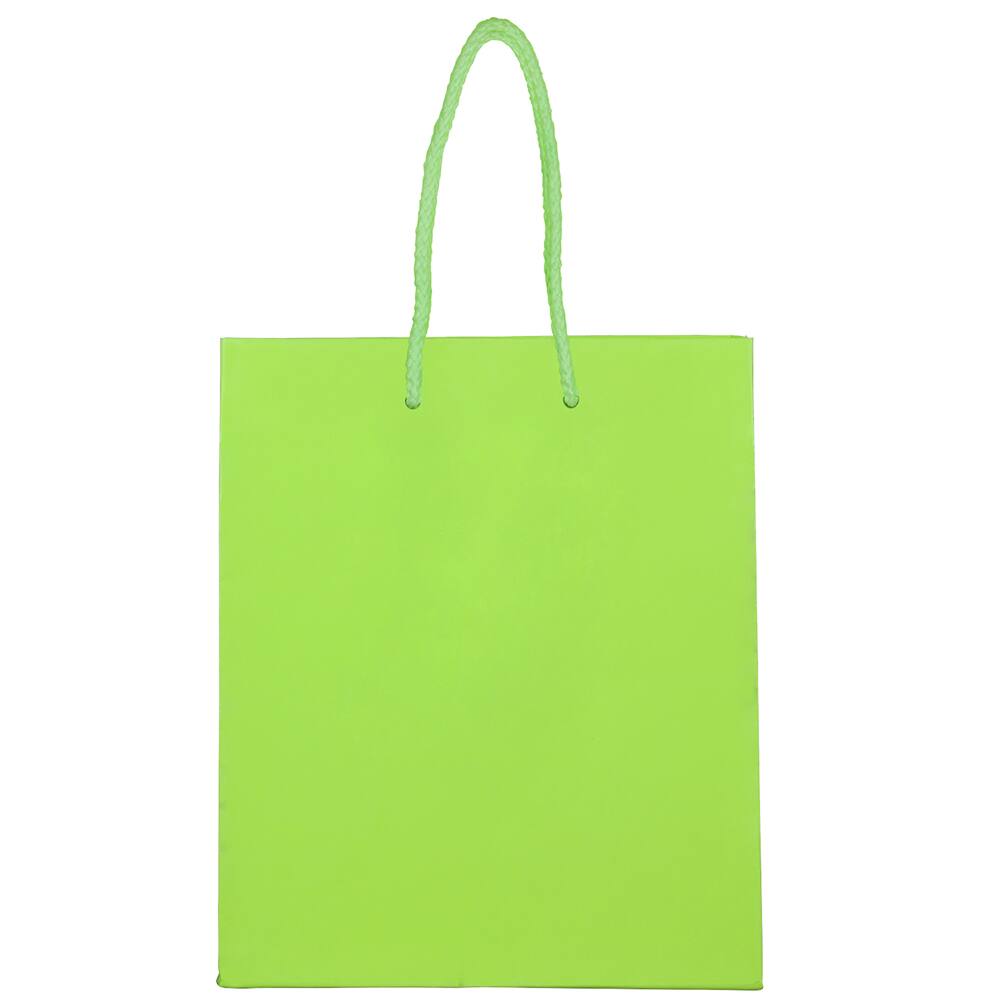 JAM Paper Medium Glossy Gift Bags