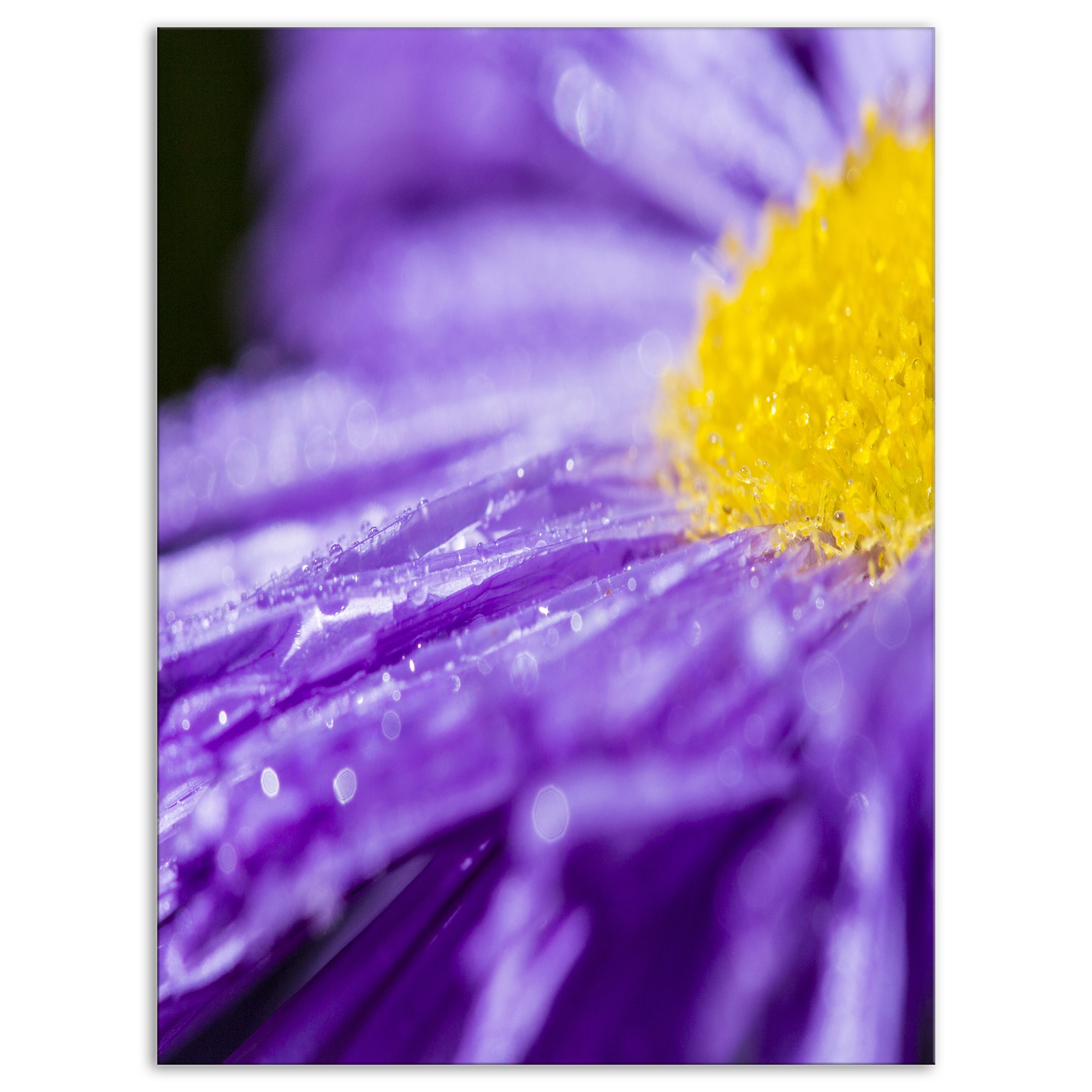 Designart - Large Violet Flower Petal Close up - Large Flower Canvas Wall Art