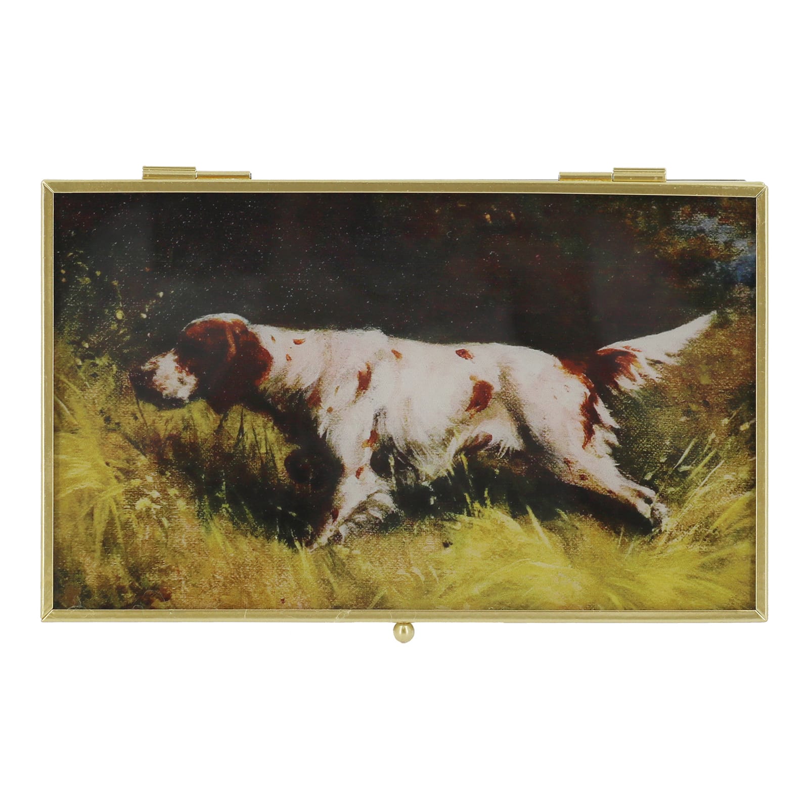 Hunting Dog Decorative Box by Ashland®