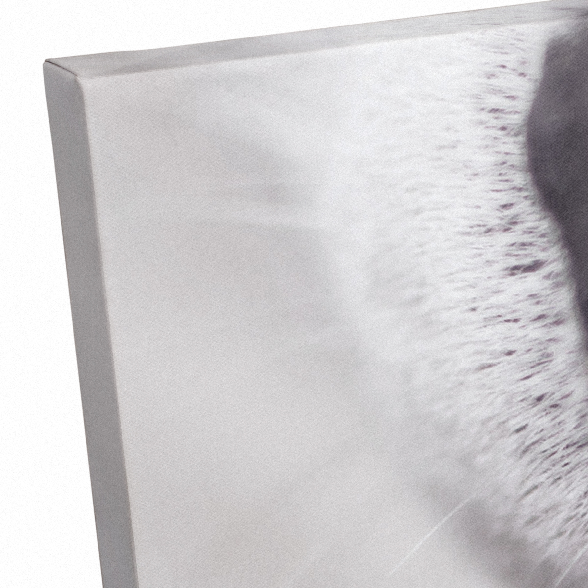 Dog Nose 20" x 20" Canvas Wall Art