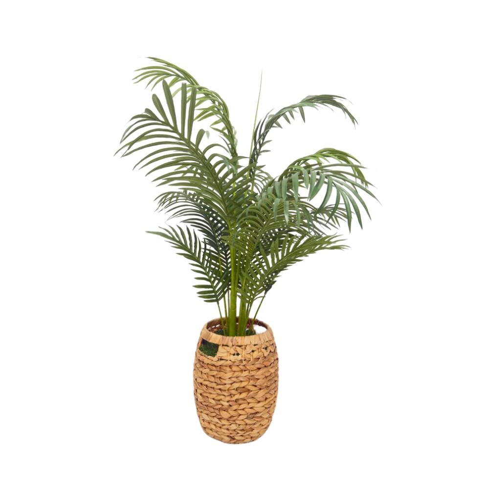 House of Silk Flowers 49" Green Faux Areca Palm in Natural Hyacinth Basket