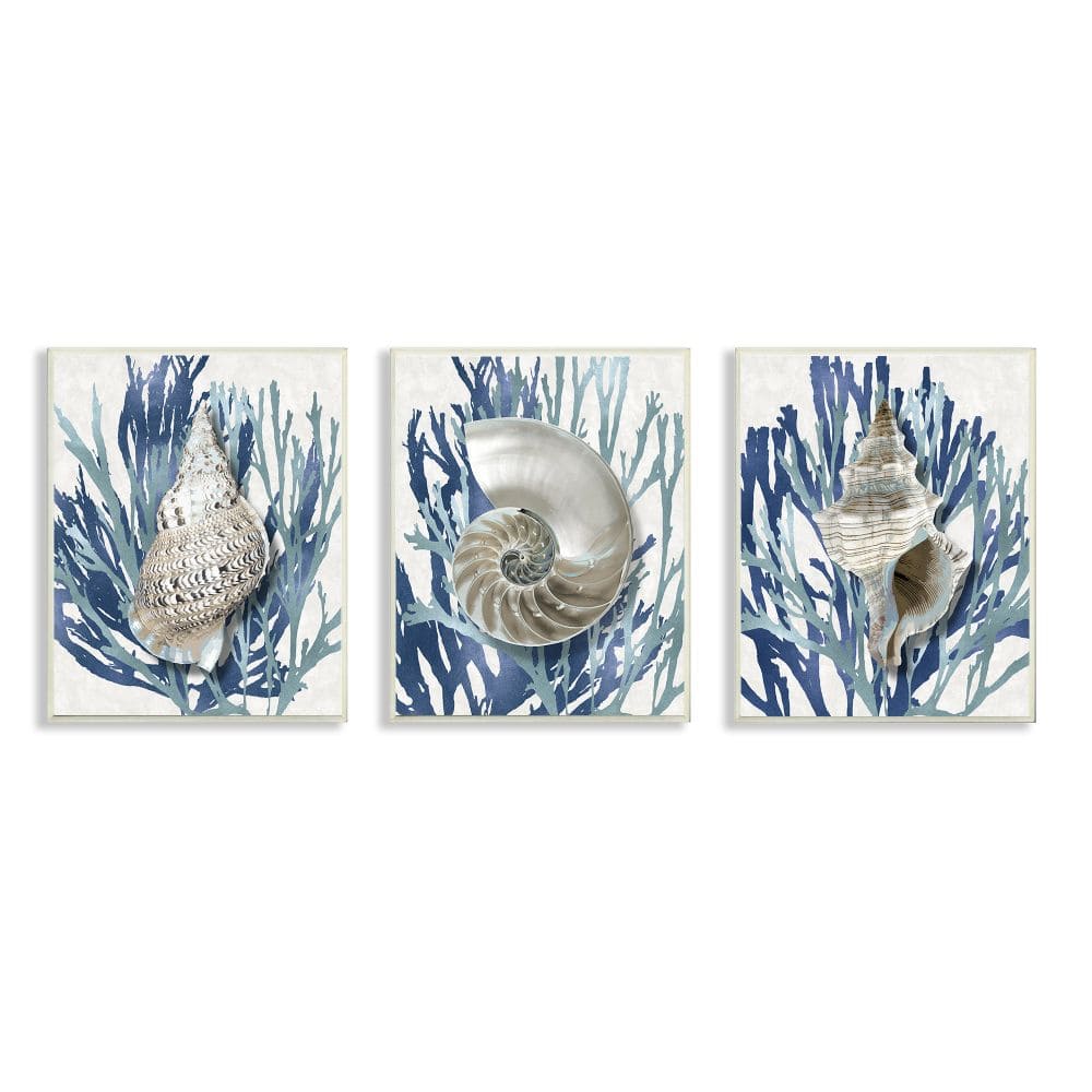 Stupell Industries Trio of Shell Coral Blue Beach Design,10" x 15"