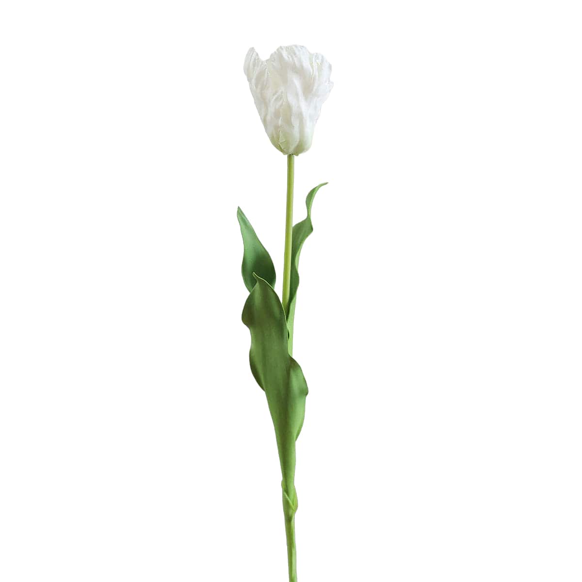 Prestige Botanicals 27" Artificial Real Touch White Parrot Tulip Stem