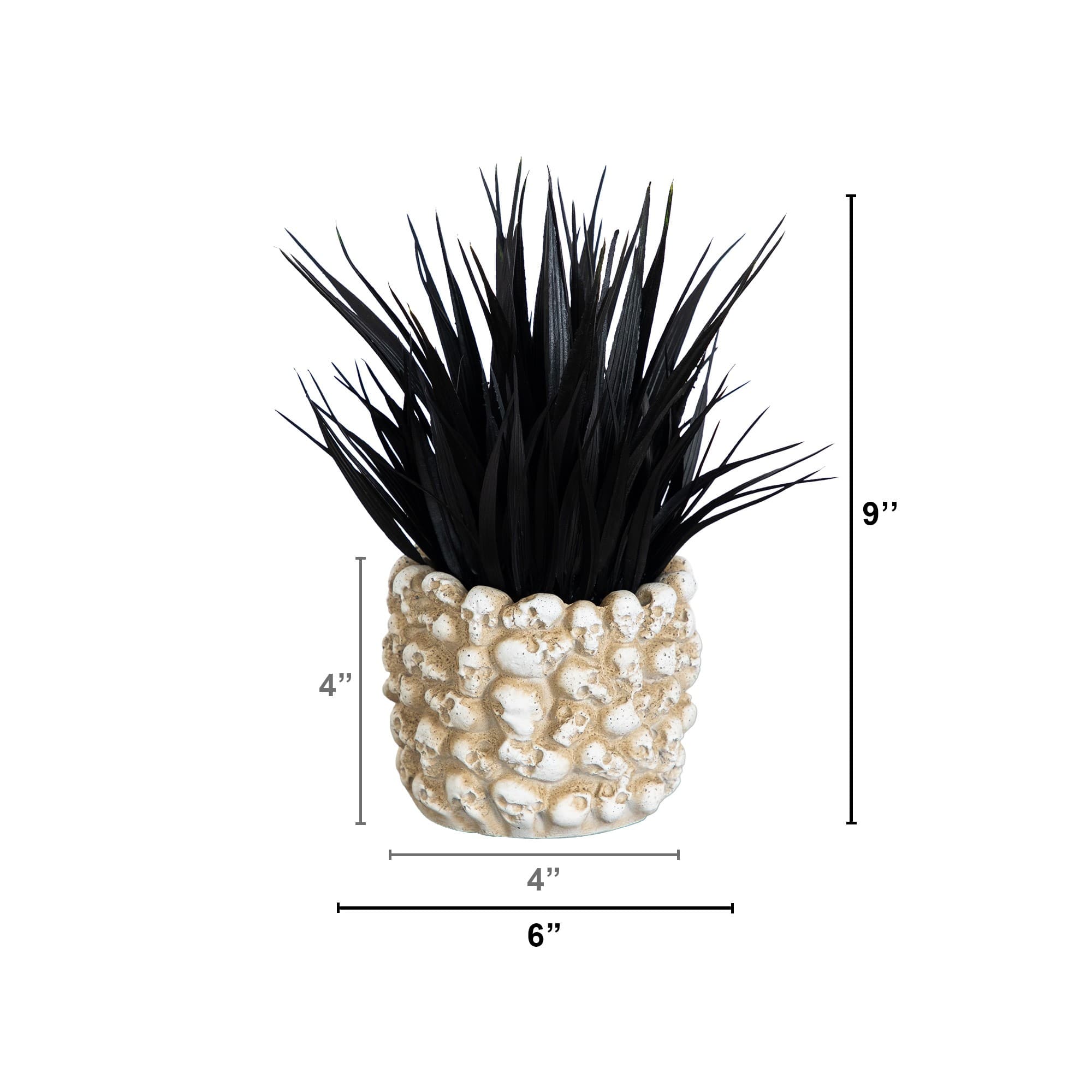 9" Artificial Halloween Black Succulent Plant in Gothic Skull Planter