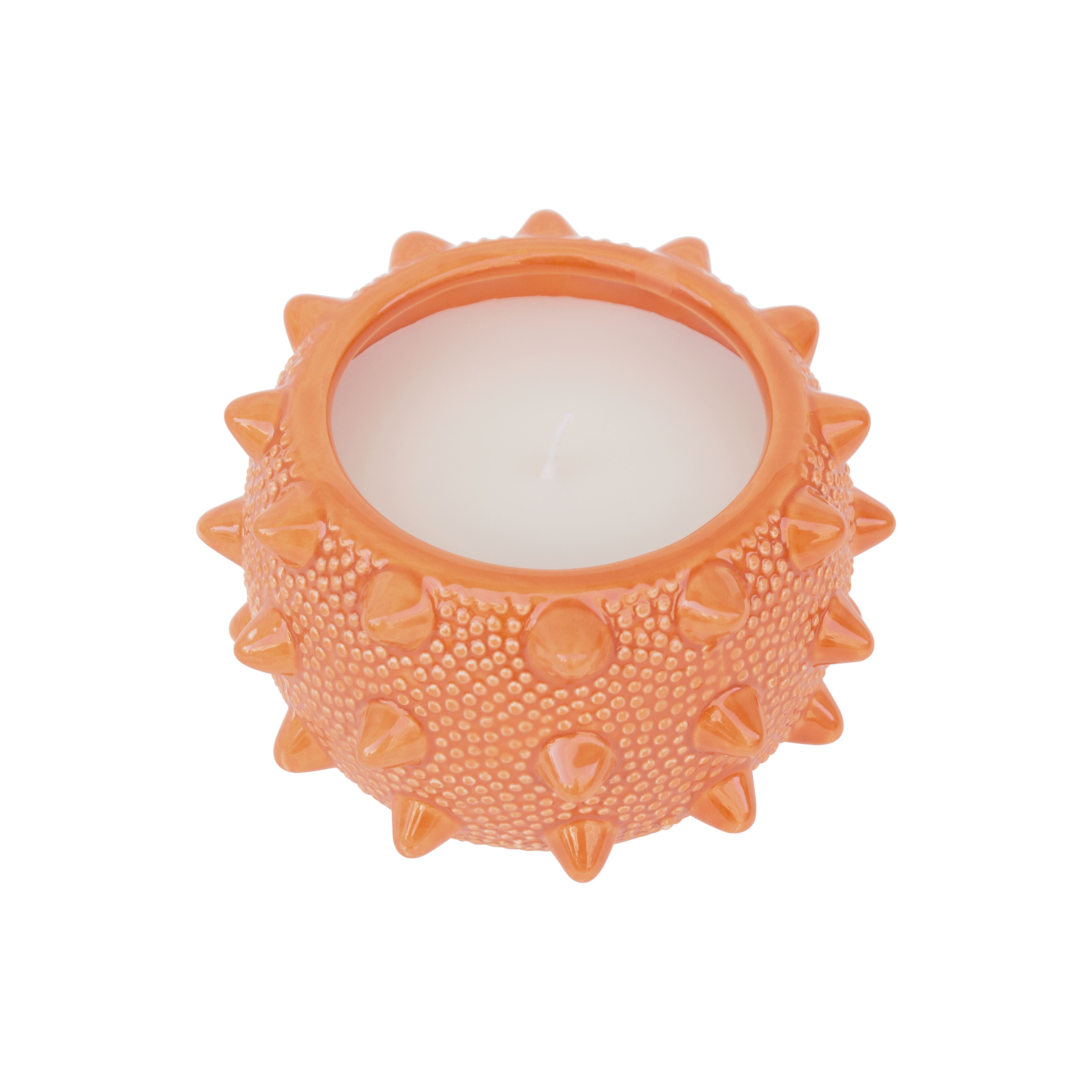 9oz. Citronella, Basil & Clove Scented Candle by Ashland®