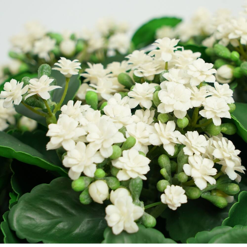 House of Silk Flowers 18" Faux White Kalanchoe in Seagrass Basket Arrangement
