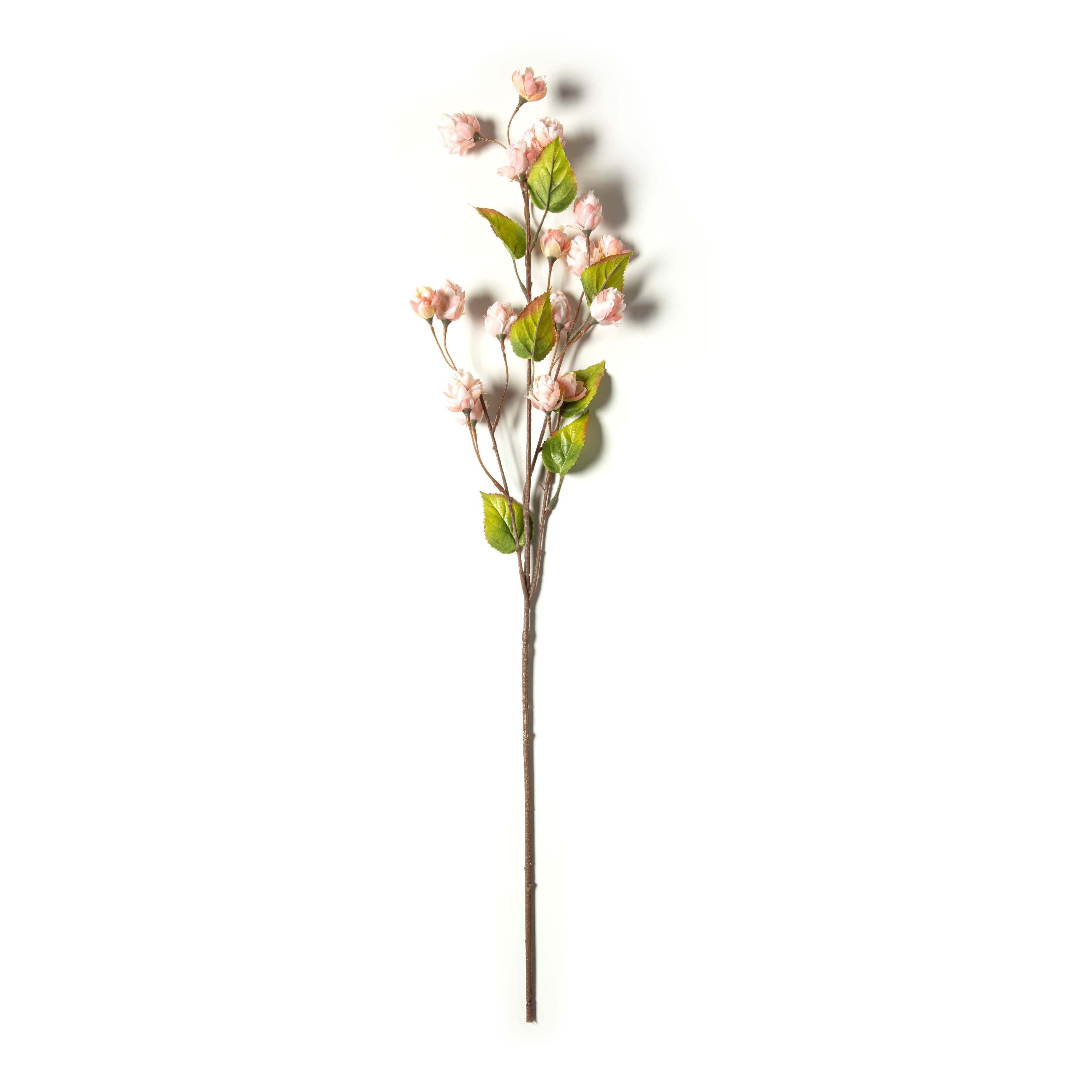 12 Pack: Blush Hops Stem by Ashland®