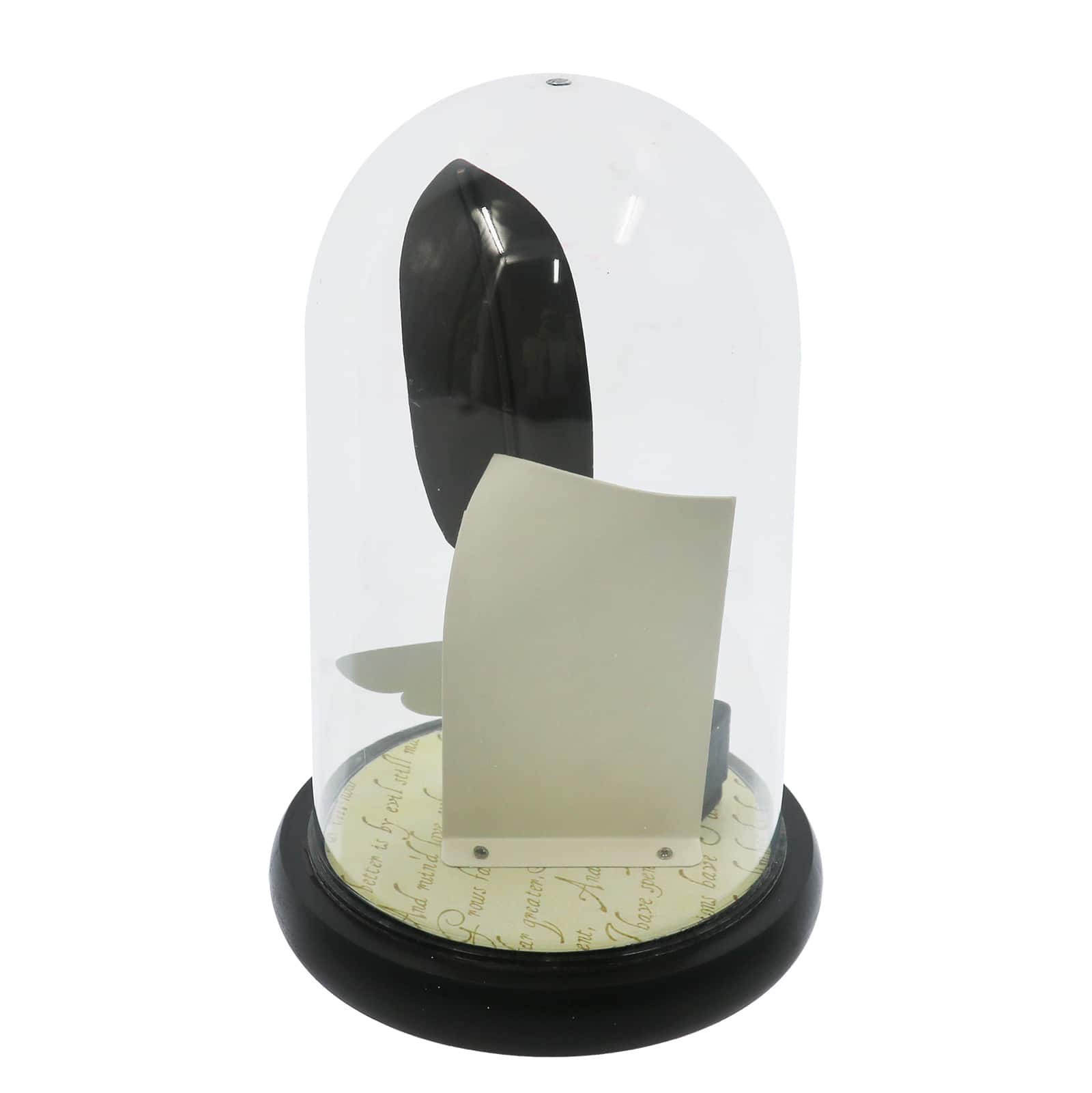 9" Ink & Moth Cloche Tabletop Décor by Ashland®