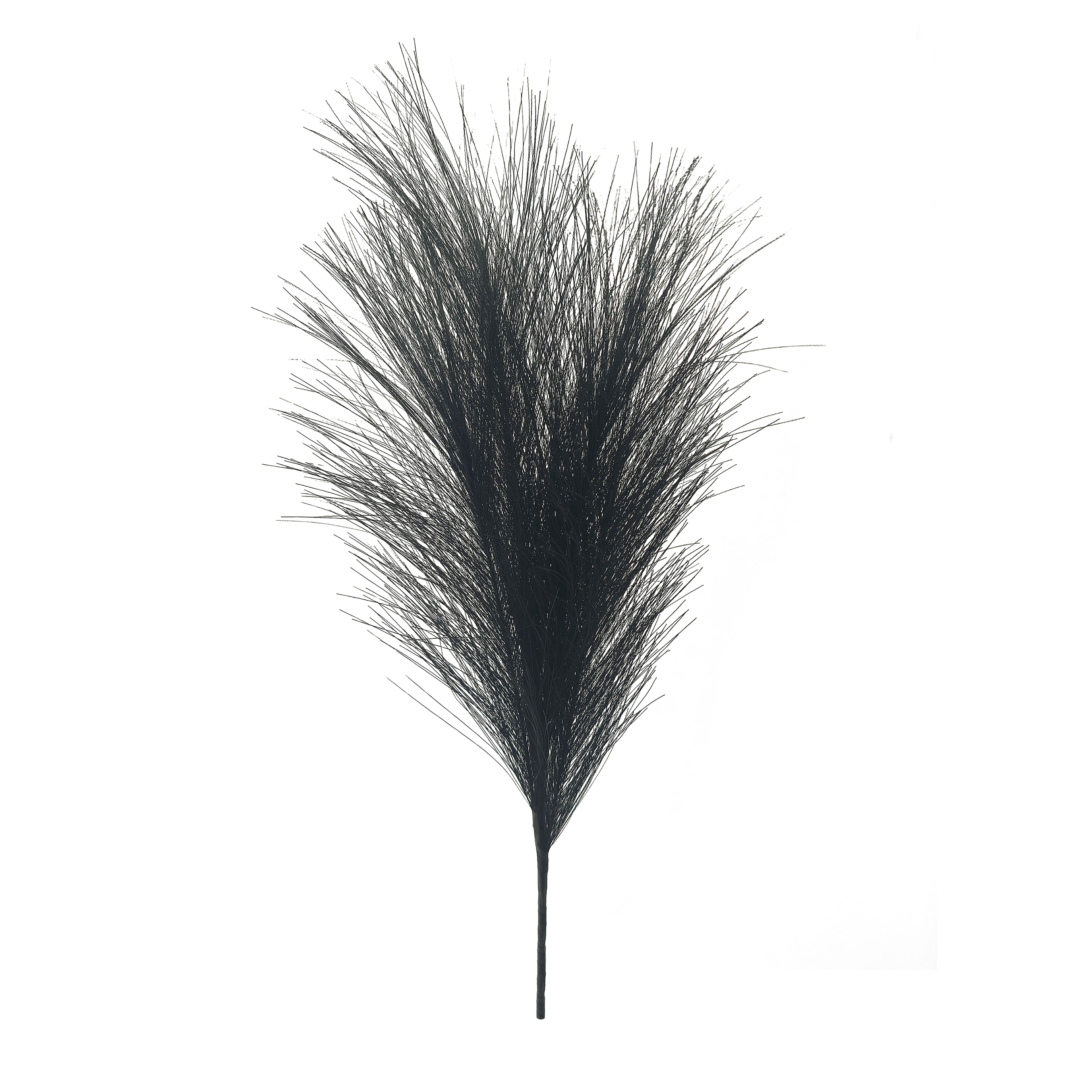 13.5" Black Pampas Pick by Ashland®
