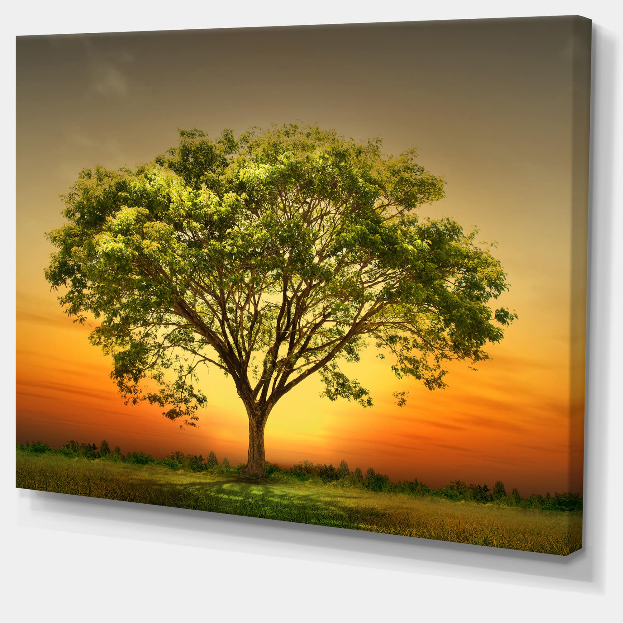 Designart - Green Tree against Setting Sun
