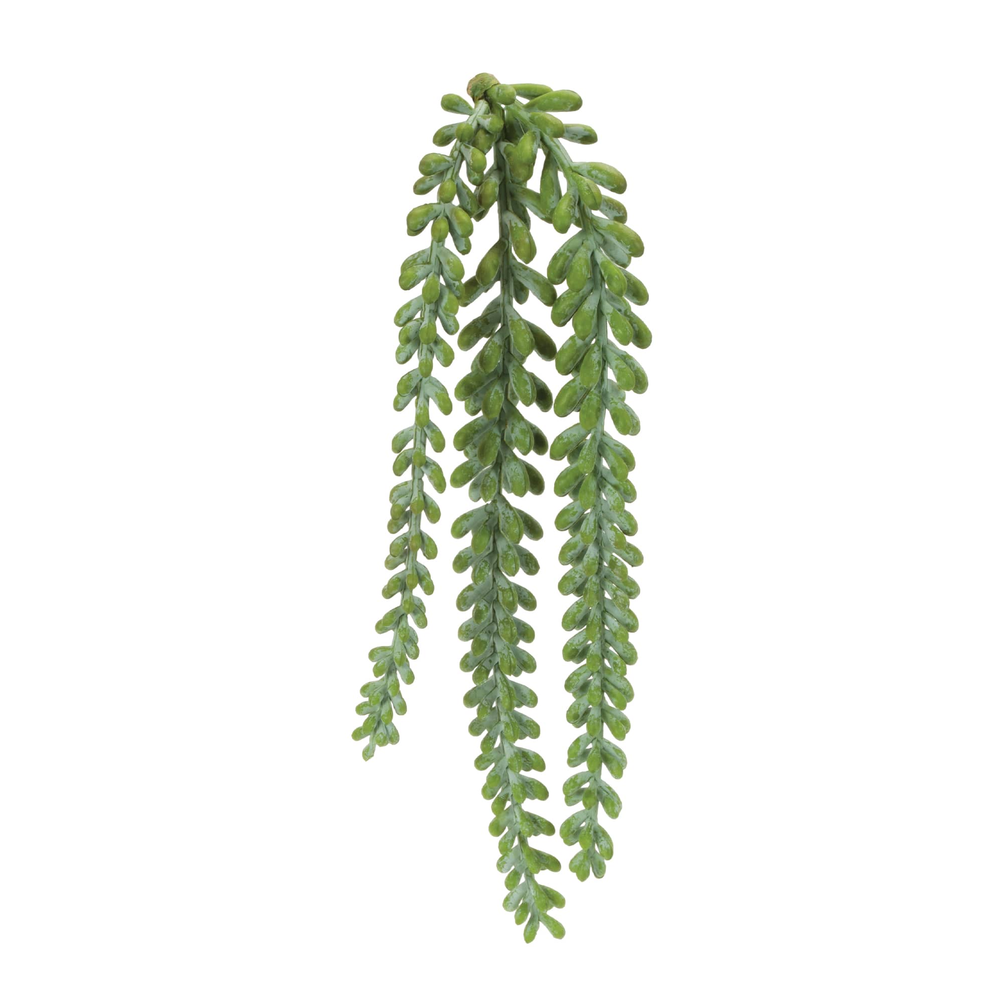 15" Hanging Sedum Succulent Sprays, 12ct.