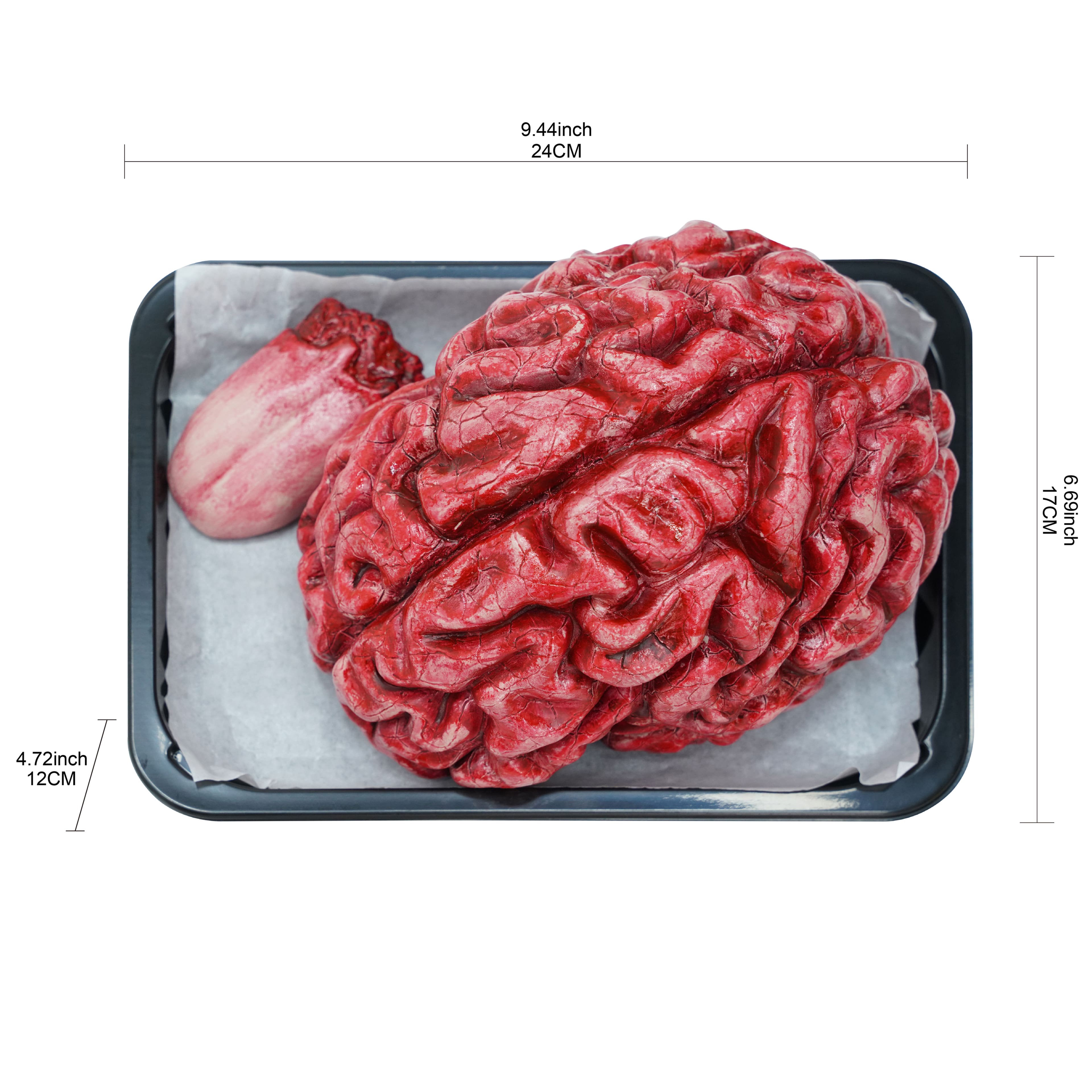 Assorted Body Part Tray by Ashland®, 1pc.