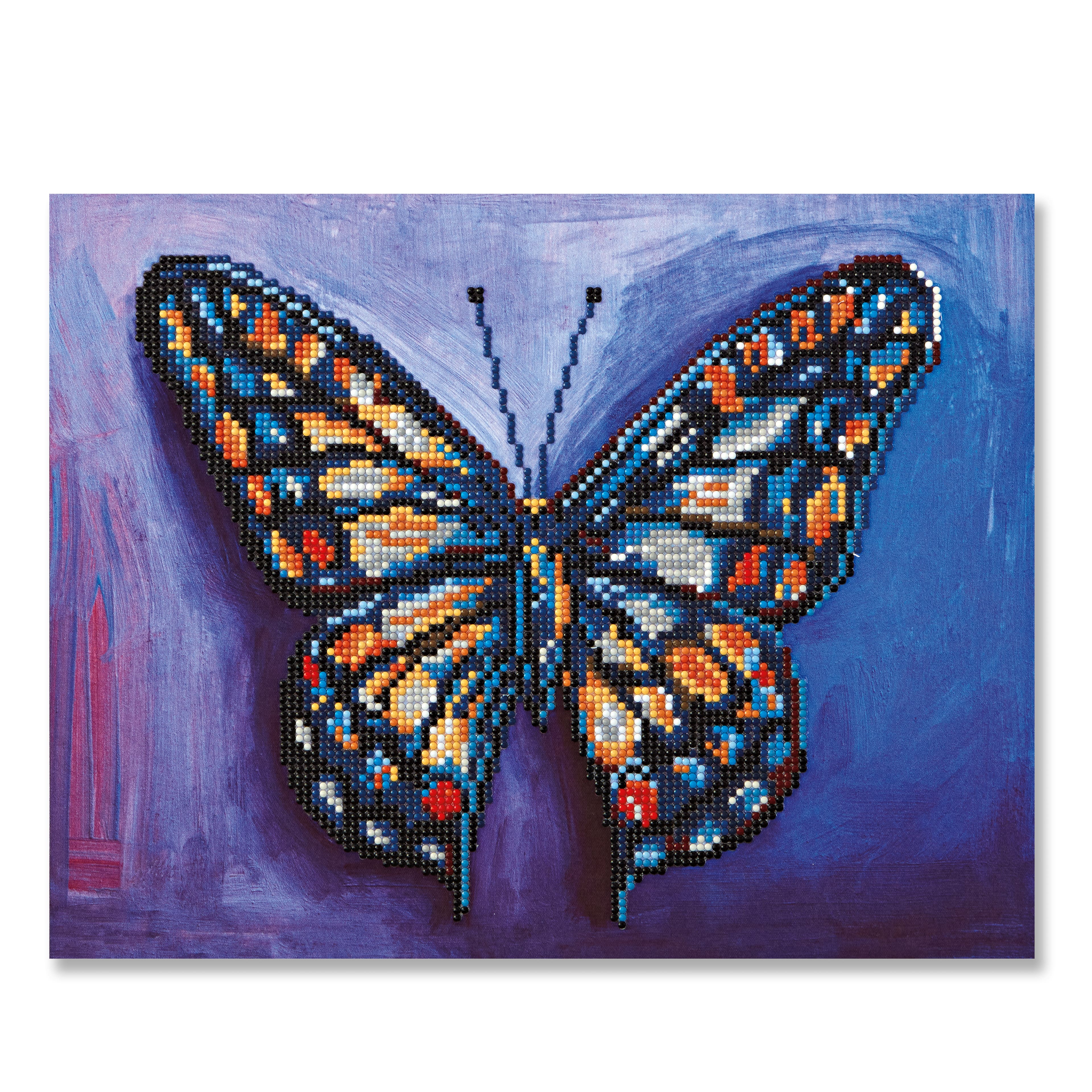 Butterfly Duo Diamond Art Kit by Make Market®