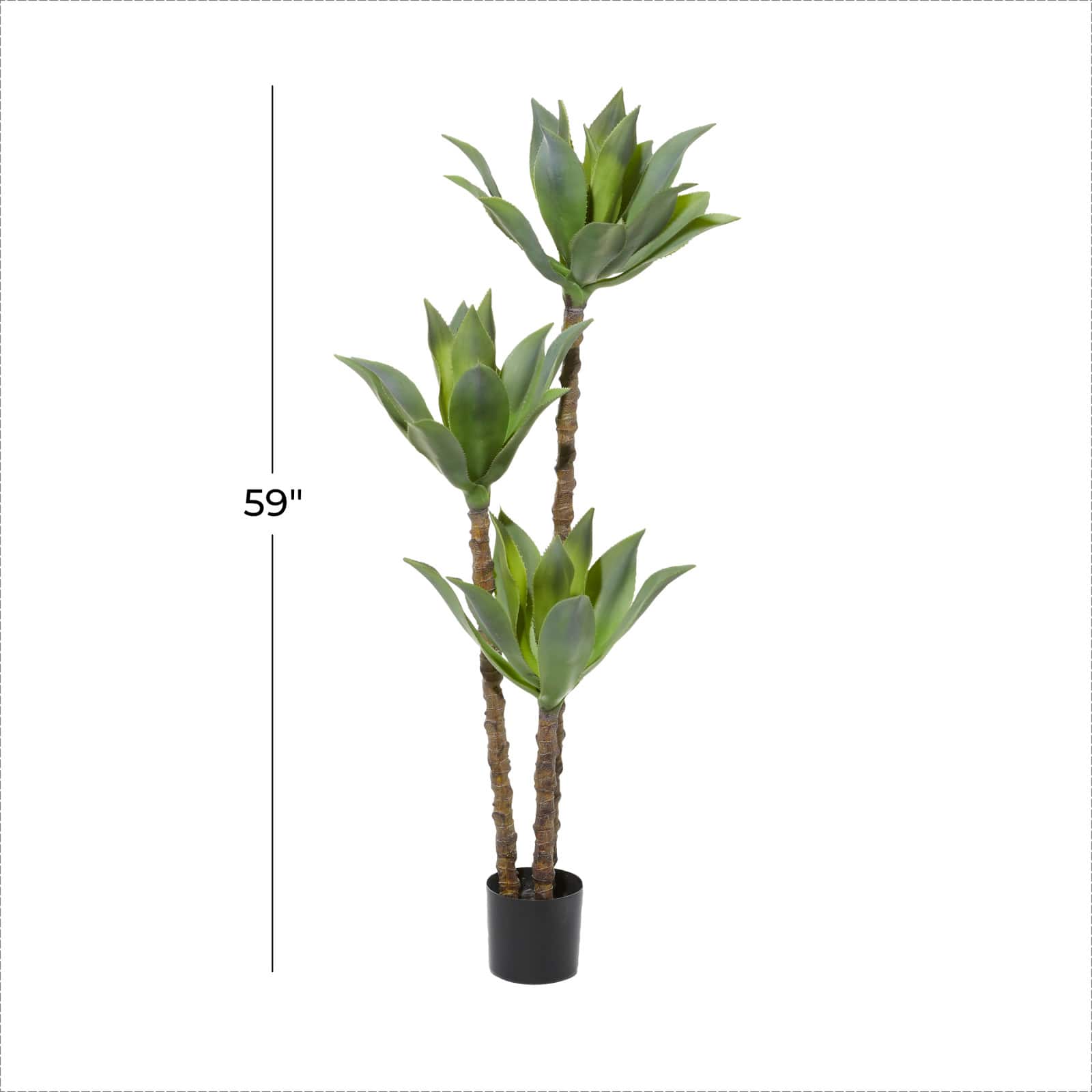 5ft. Potted Yucca Tree