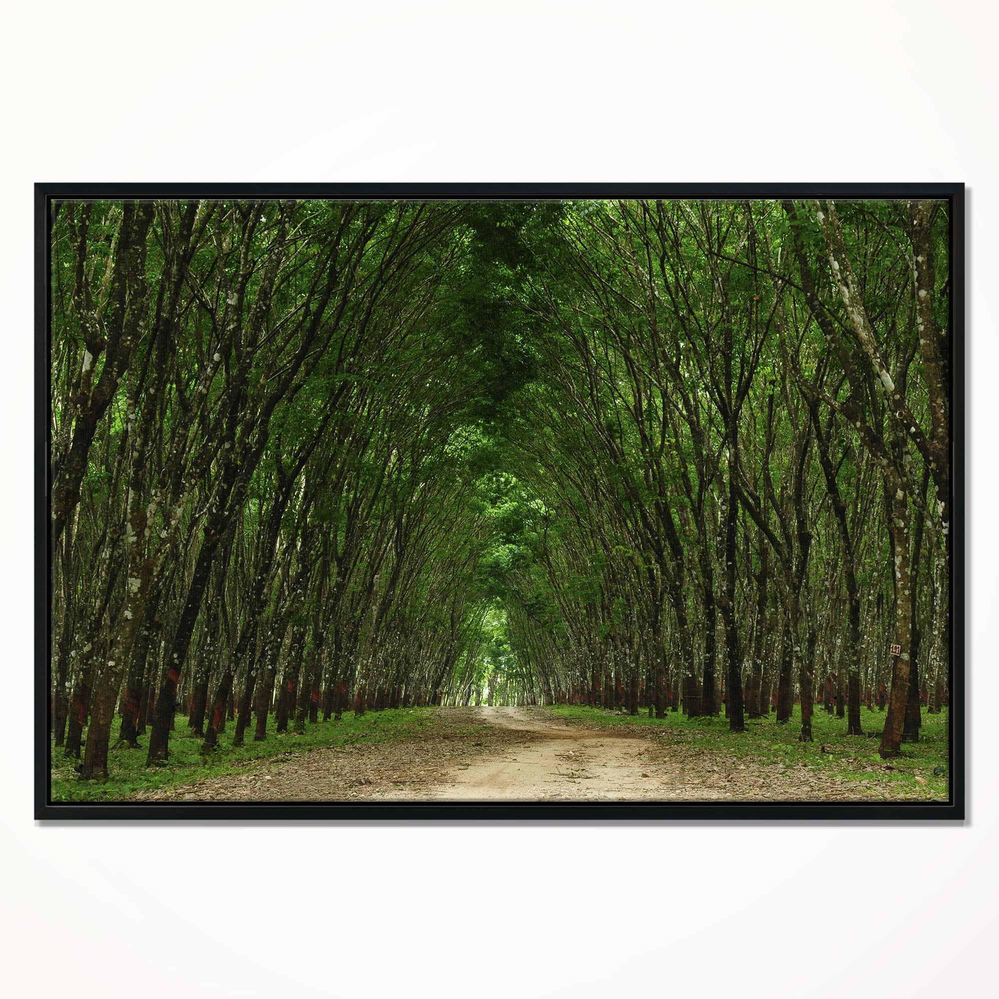 Designart - Pathway in Thick Green Forest - Landscape Photography Canvas Print in Black Frame