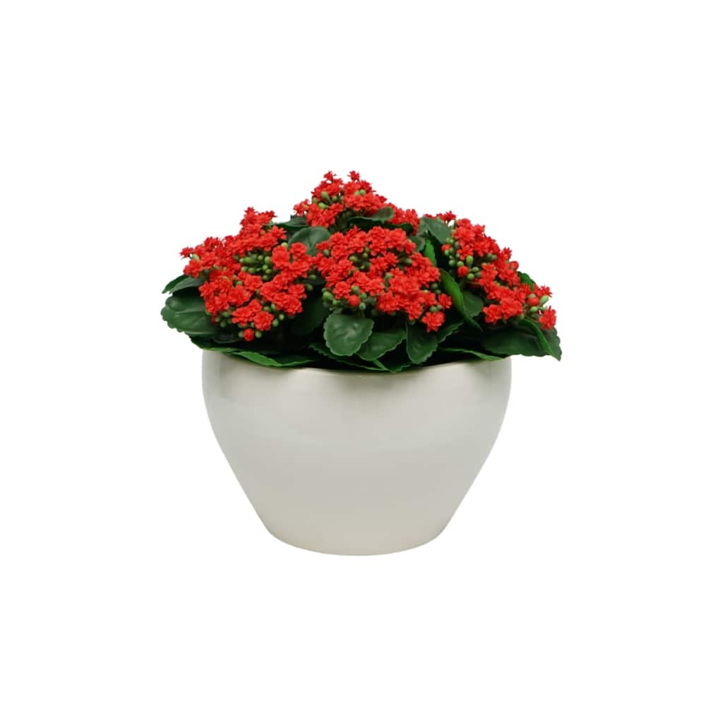 House of Silk Flowers 15" Faux Red Kalanchoe in White Ceramic Cachepot Arrangement