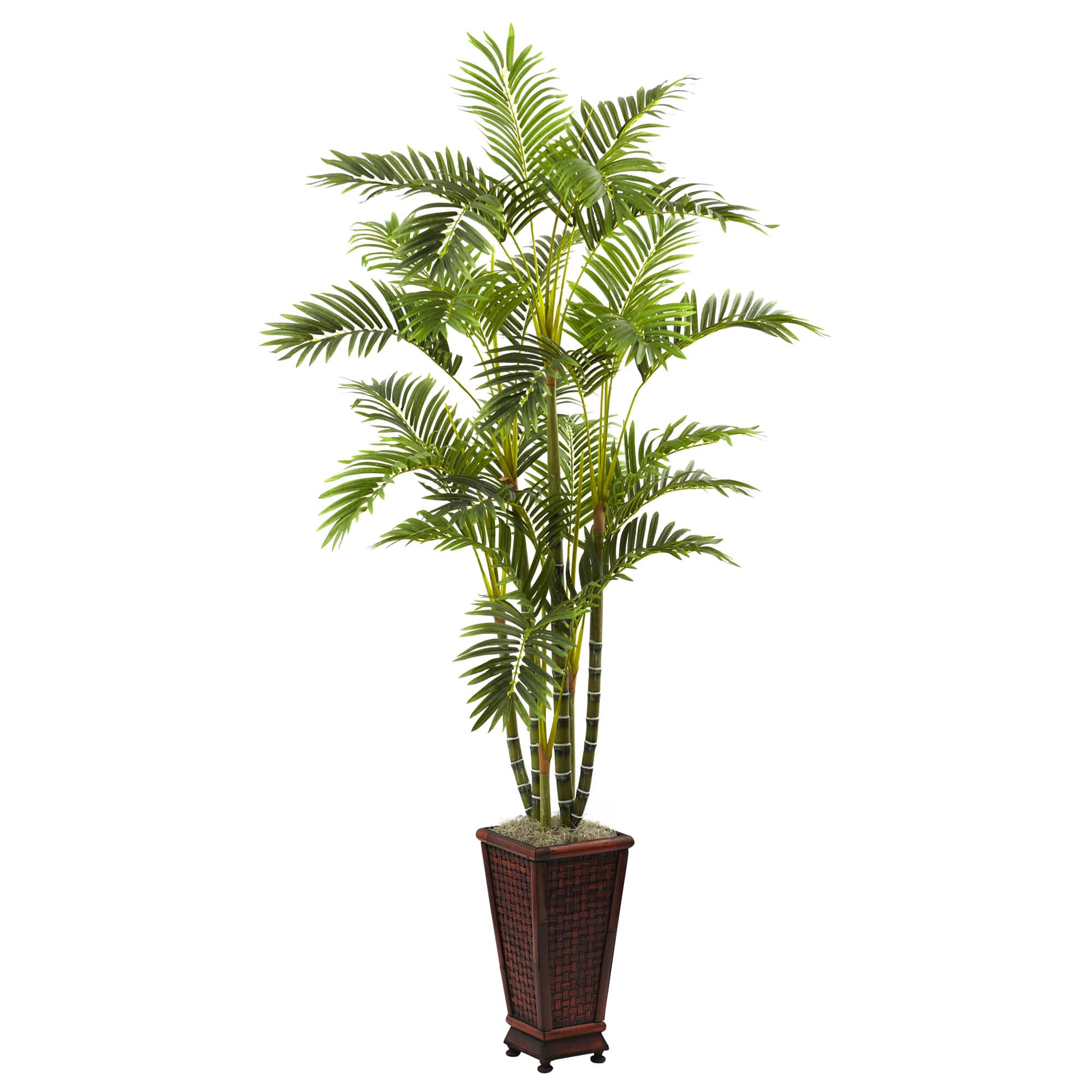 6.5ft. Areca Palm Tree in Decorative Planter