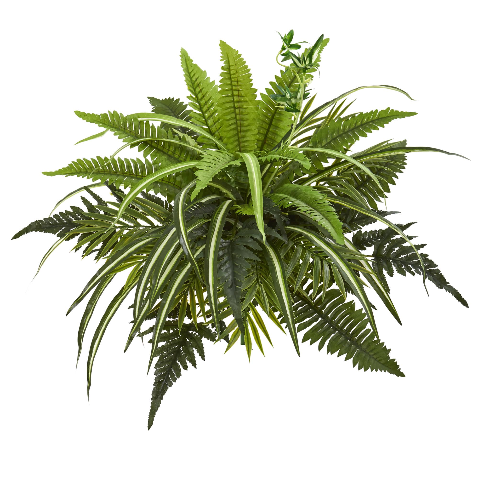 Mixed Greens & Fern Bush, 3ct.