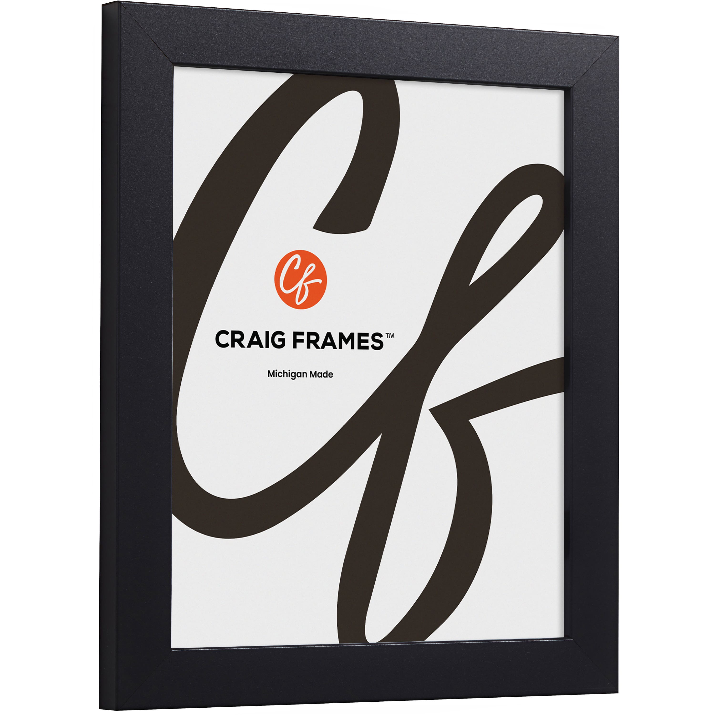 Craig Frames Essentials Modern Black Picture Frame with Mat